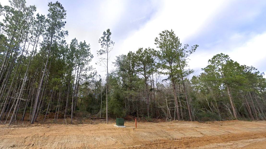 11652 Grand North Road Property Photo 6