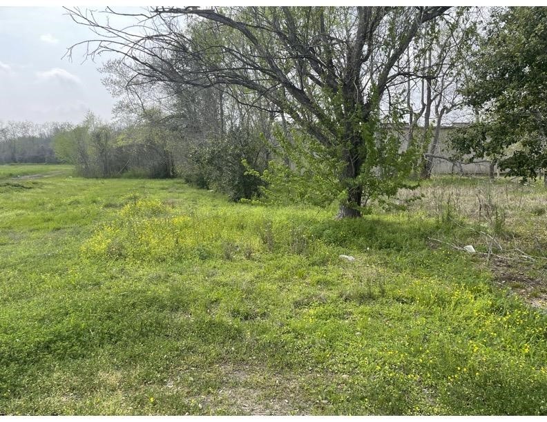 63 Oakland Street Property Photo 2