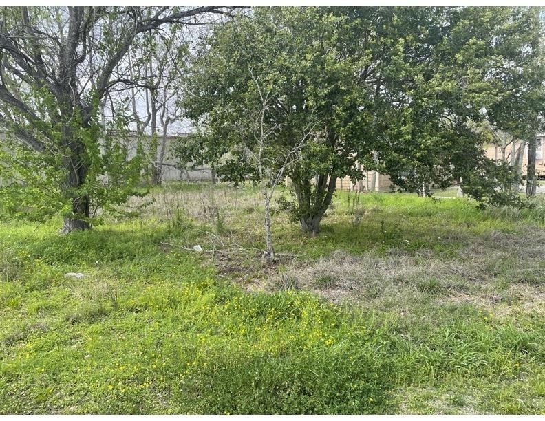 63 Oakland Street Property Photo 3