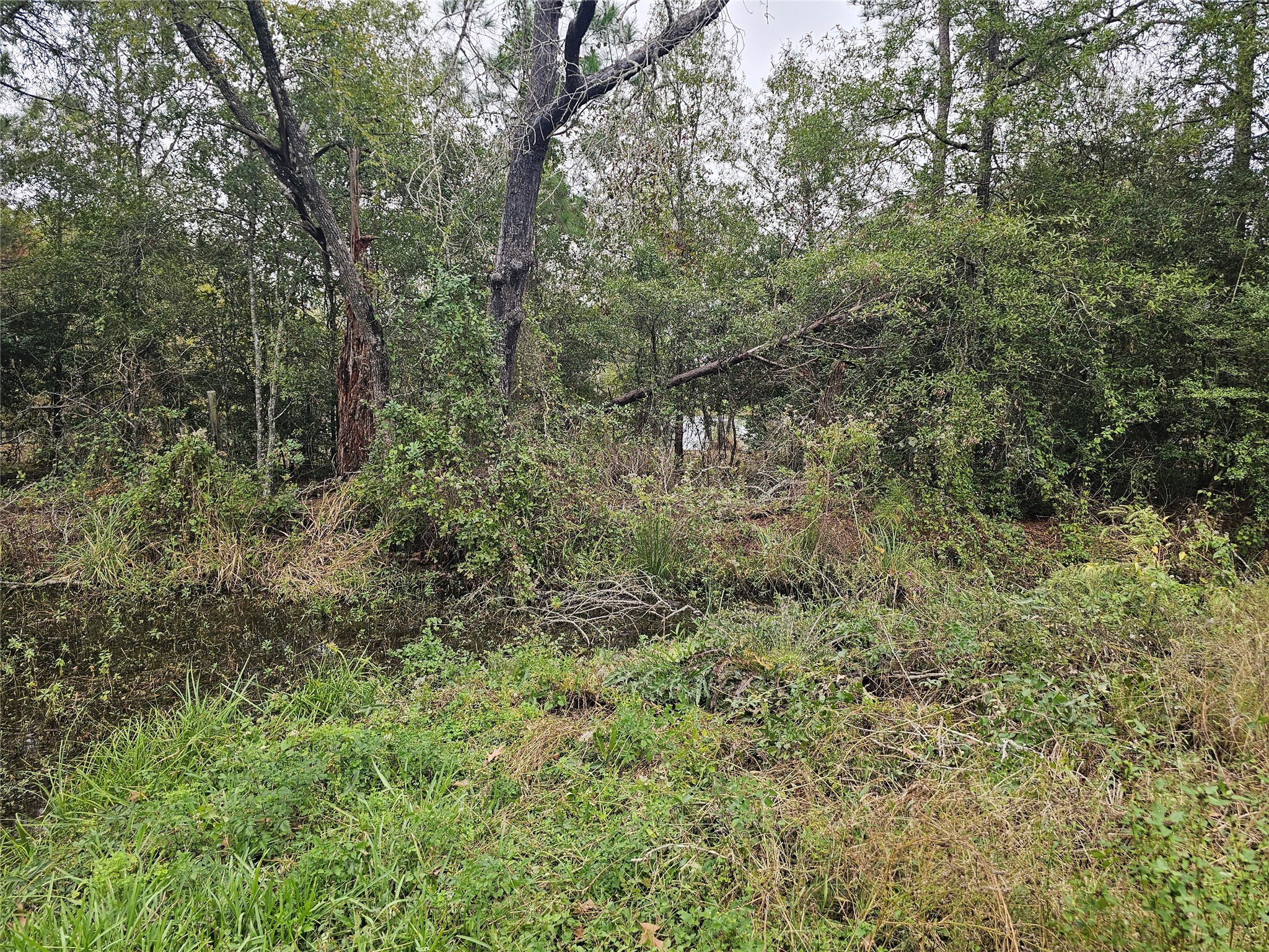 373 Bayberry Drive Property Photo 12