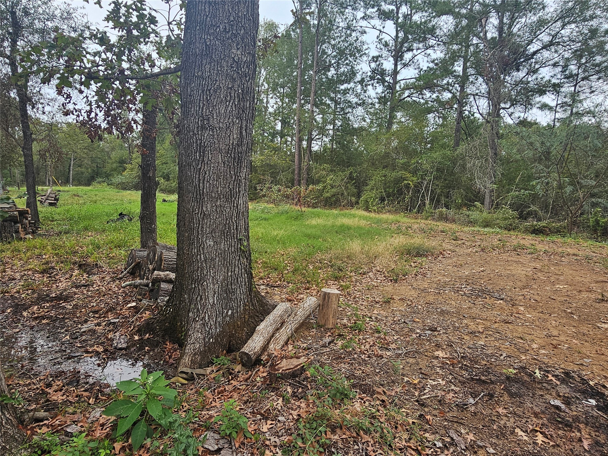 373 Bayberry Drive Property Photo 17