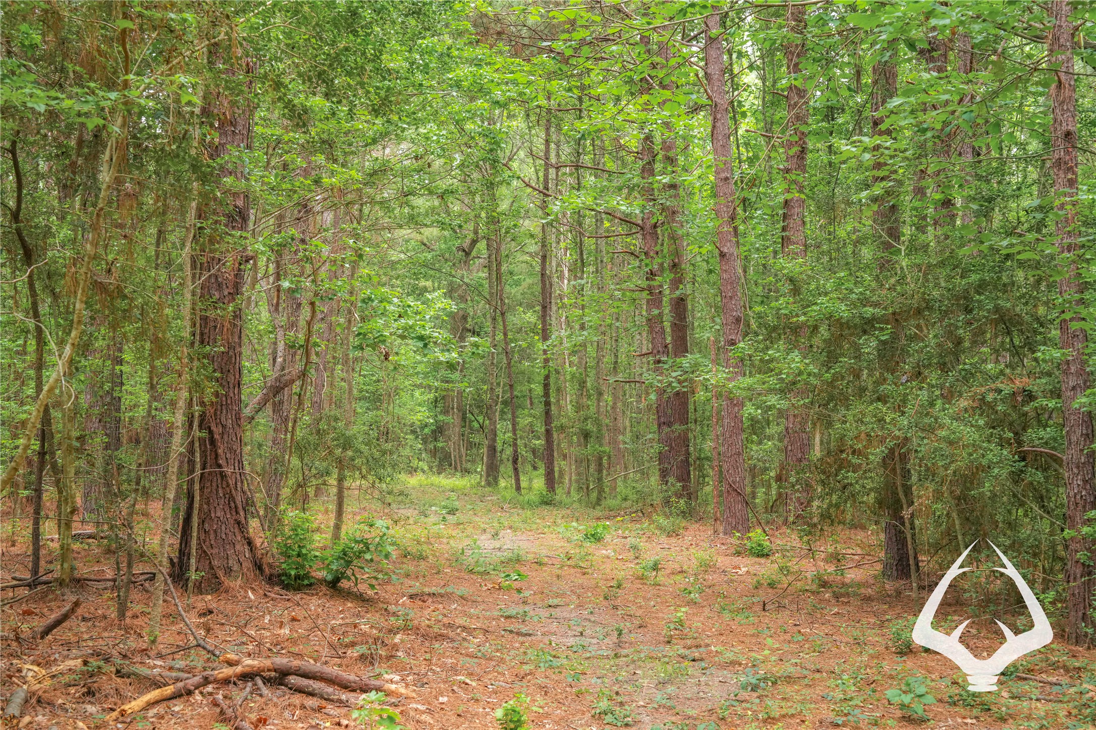 00 00 Recreational Road 255 Property Photo 11