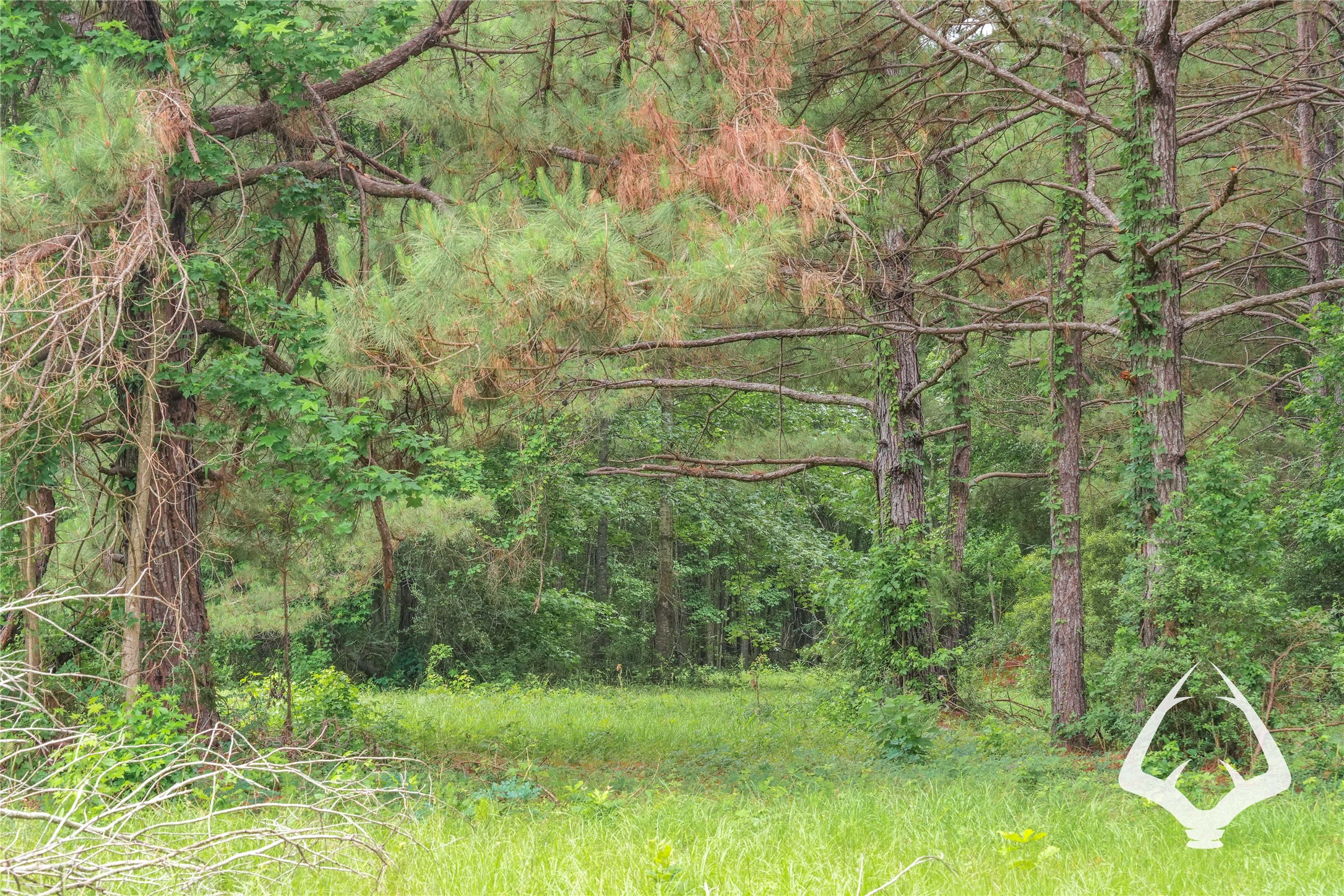 00 00 Recreational Road 255 Property Photo 17