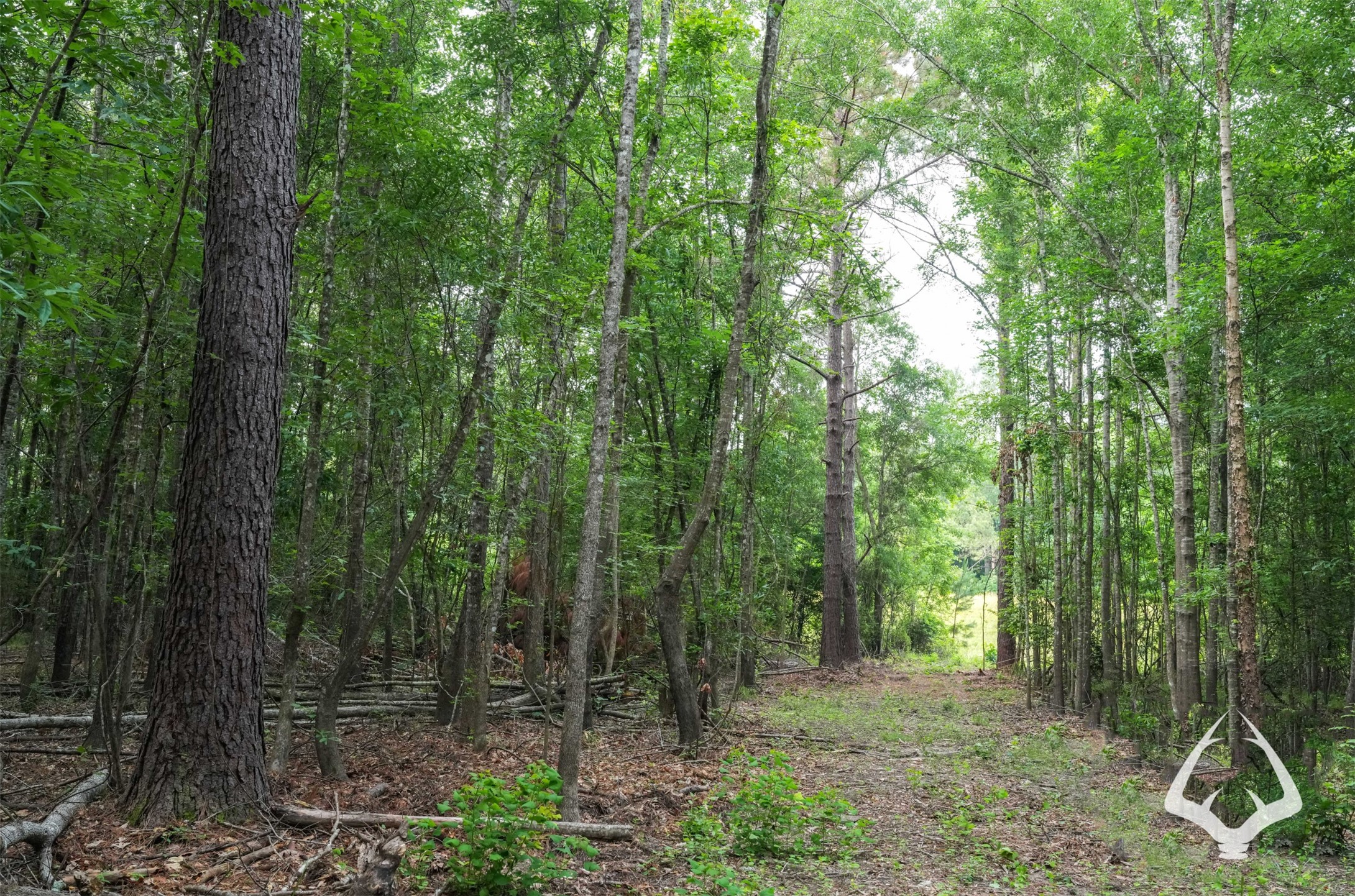00 00 Recreational Road 255 Property Photo 19