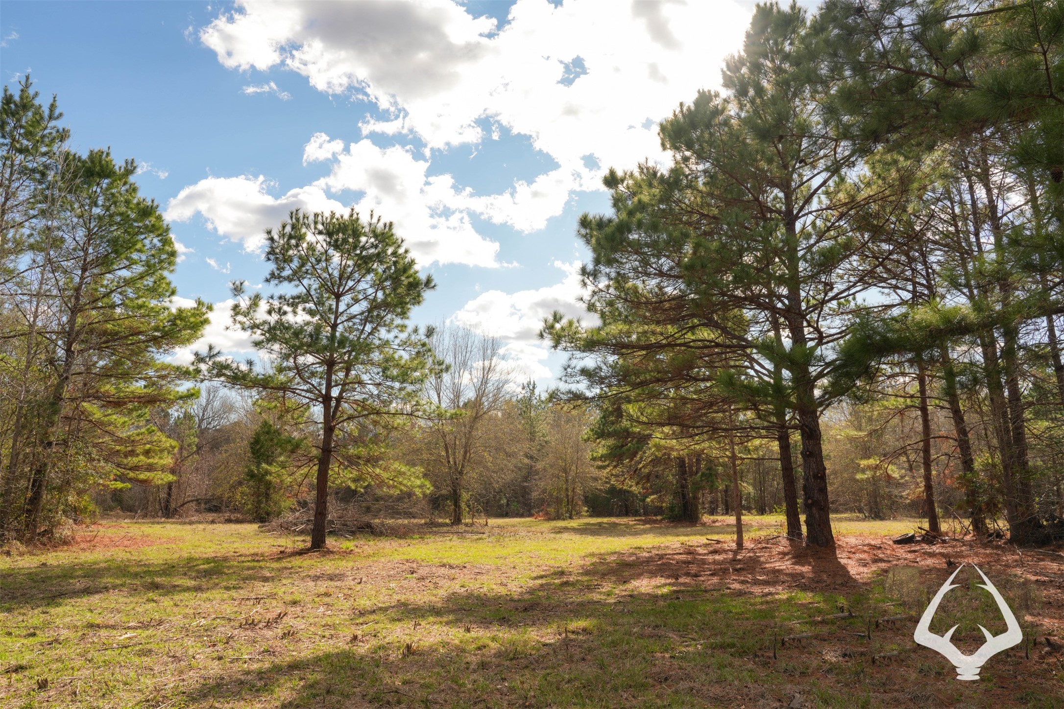 00 00 Recreational Road 255 Property Photo 25