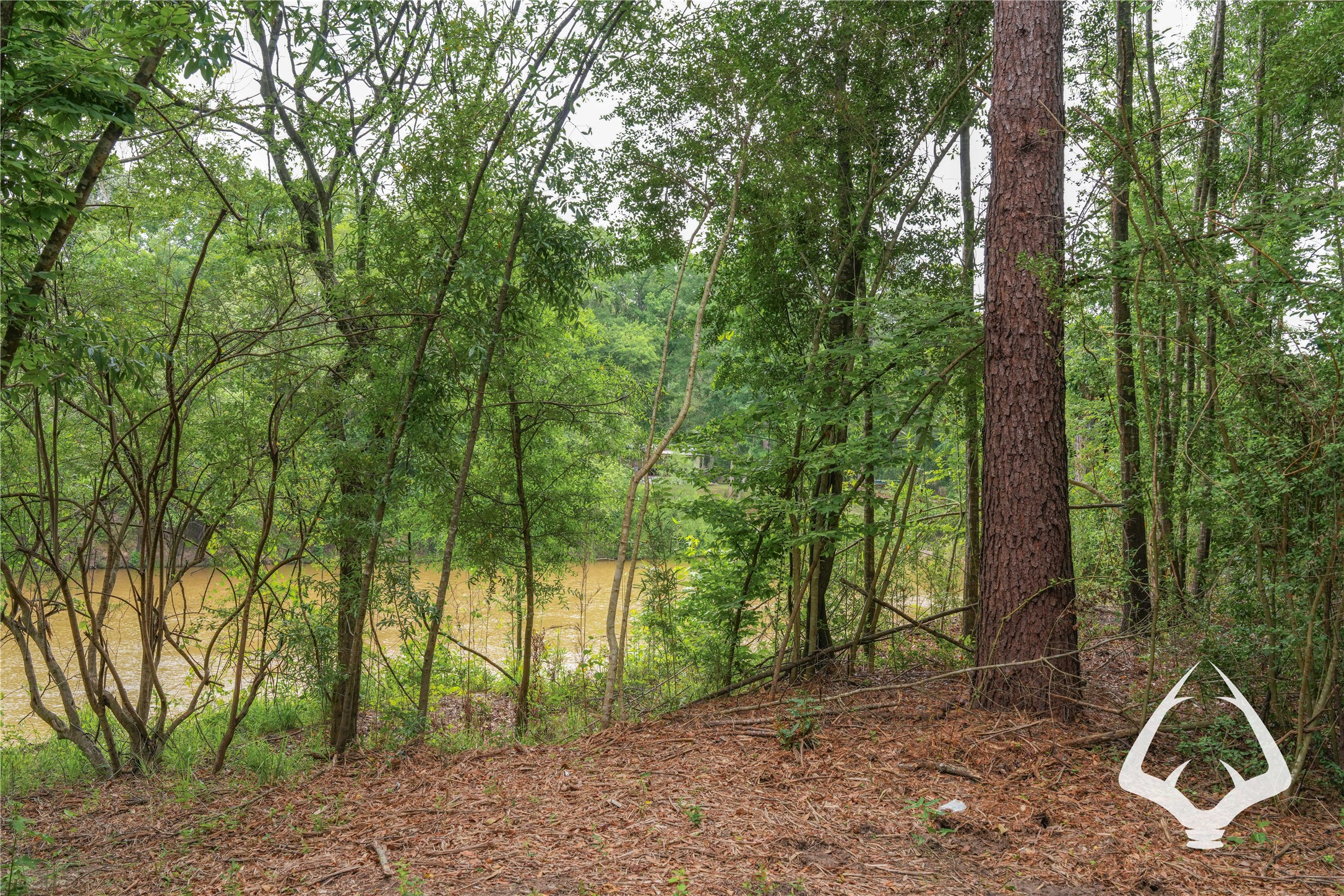 00 00 Recreational Road 255 Property Photo 28