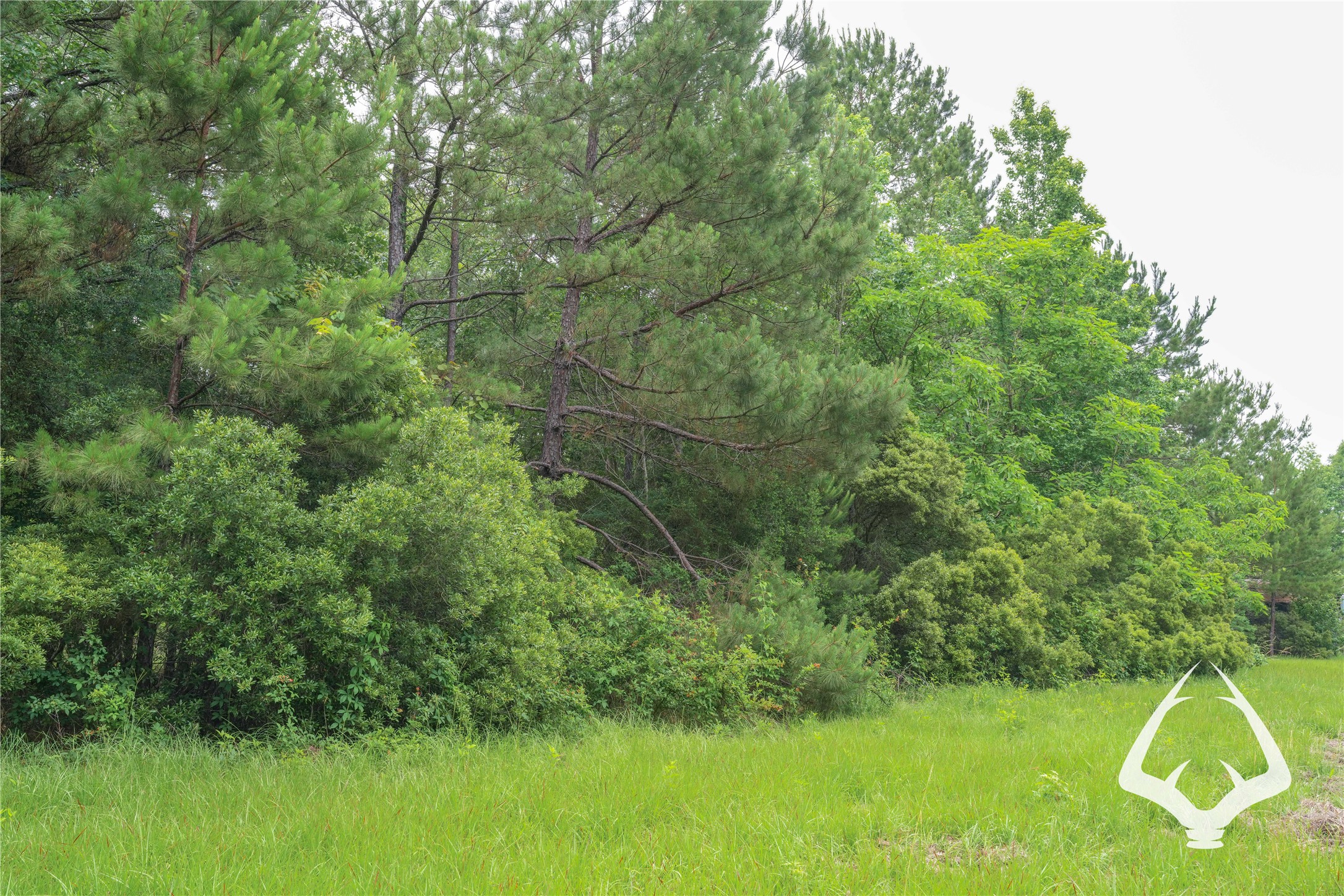 00 00 Recreational Road 255 Property Photo 33