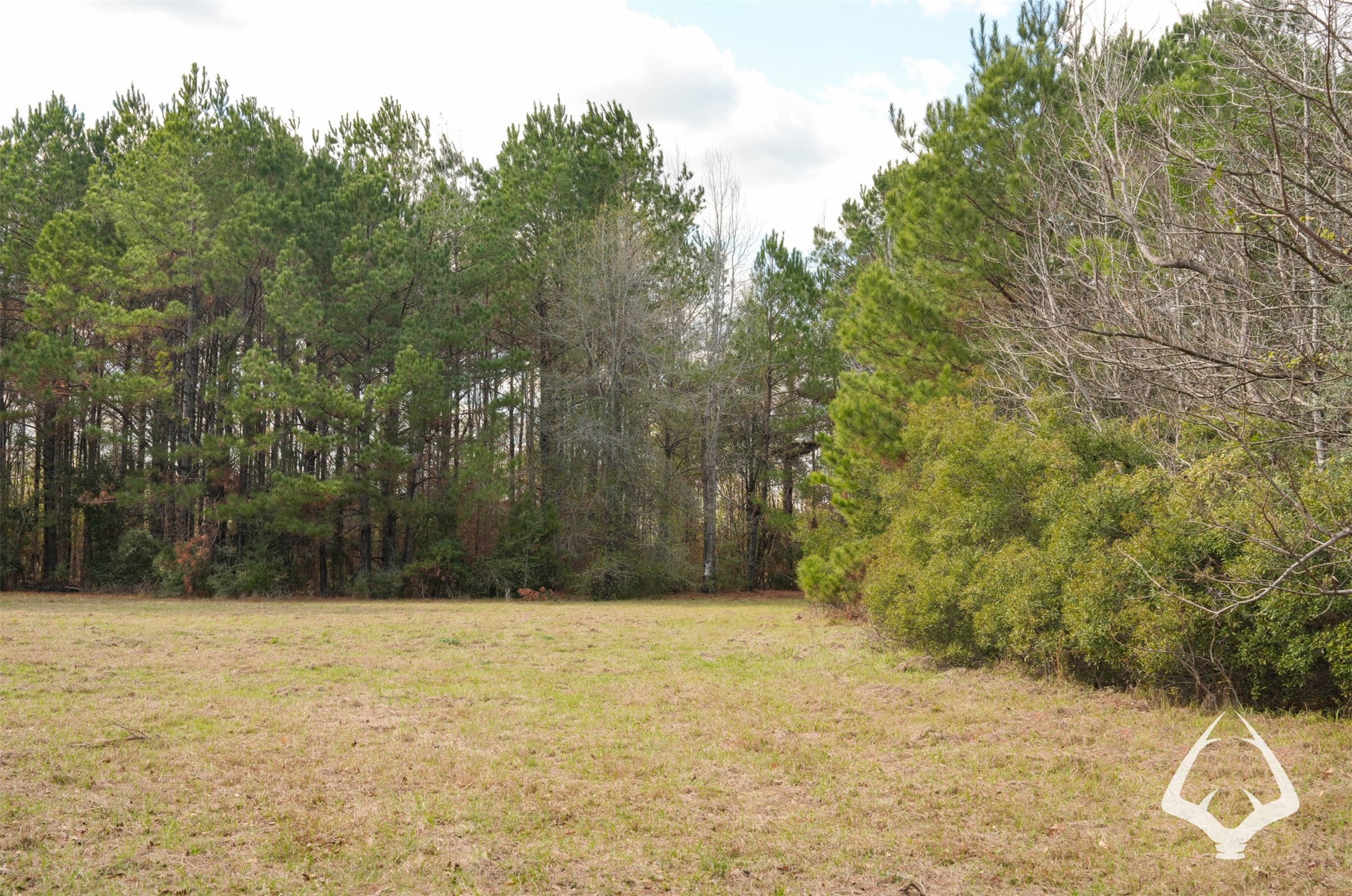 00 00 Recreational Road 255 Property Photo 37