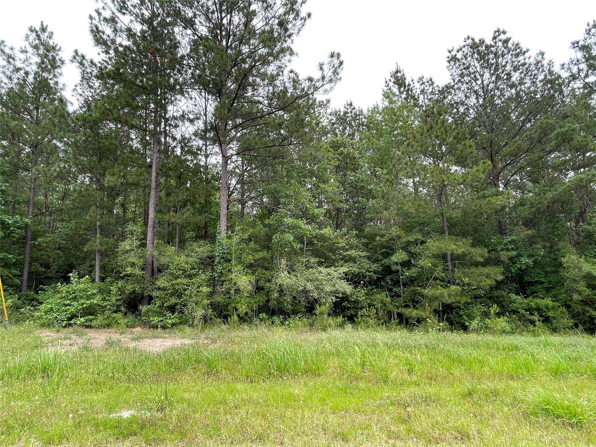 000-000 Hereford Trail Property Photo 2