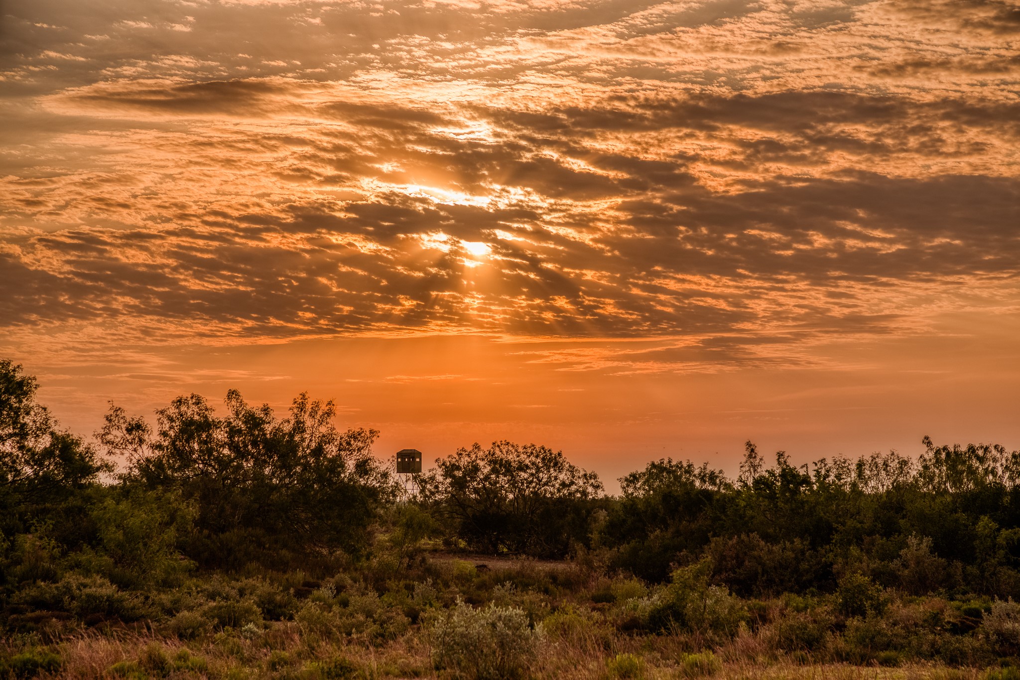 5172 Cr 321 Property Photo 1