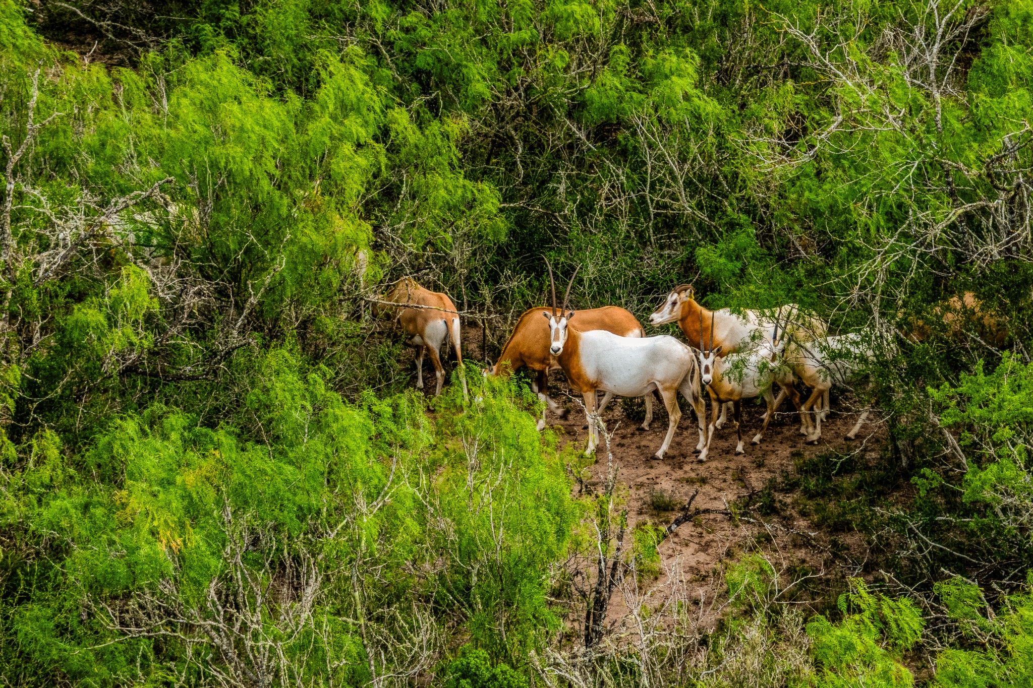 5172 Cr 321 Property Photo 4