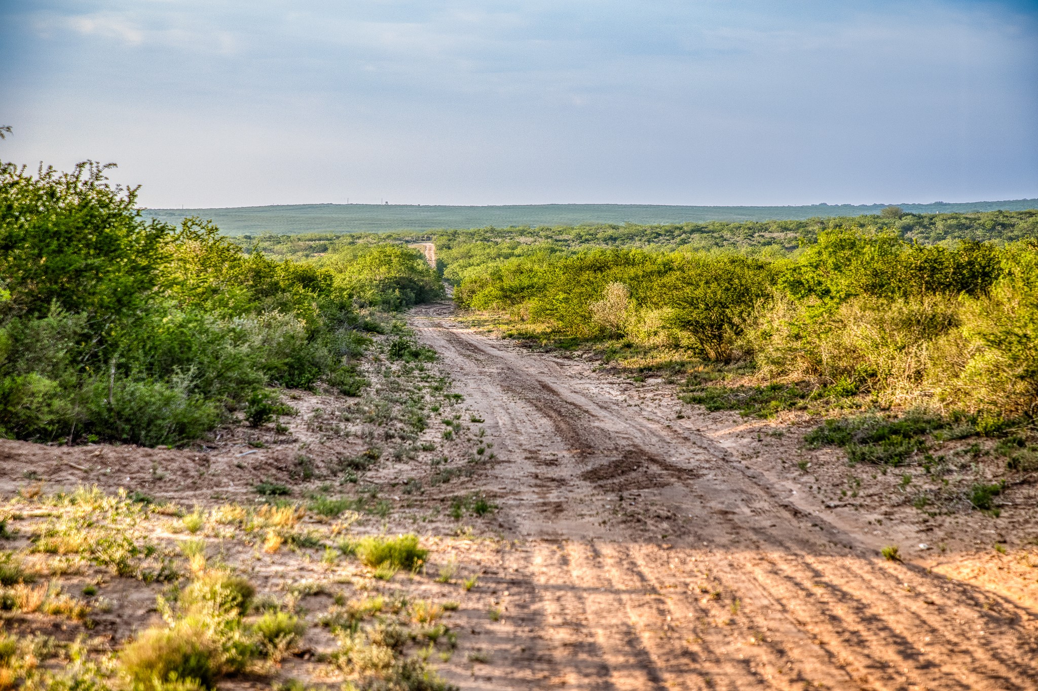 5172 Cr 321 Property Photo 5