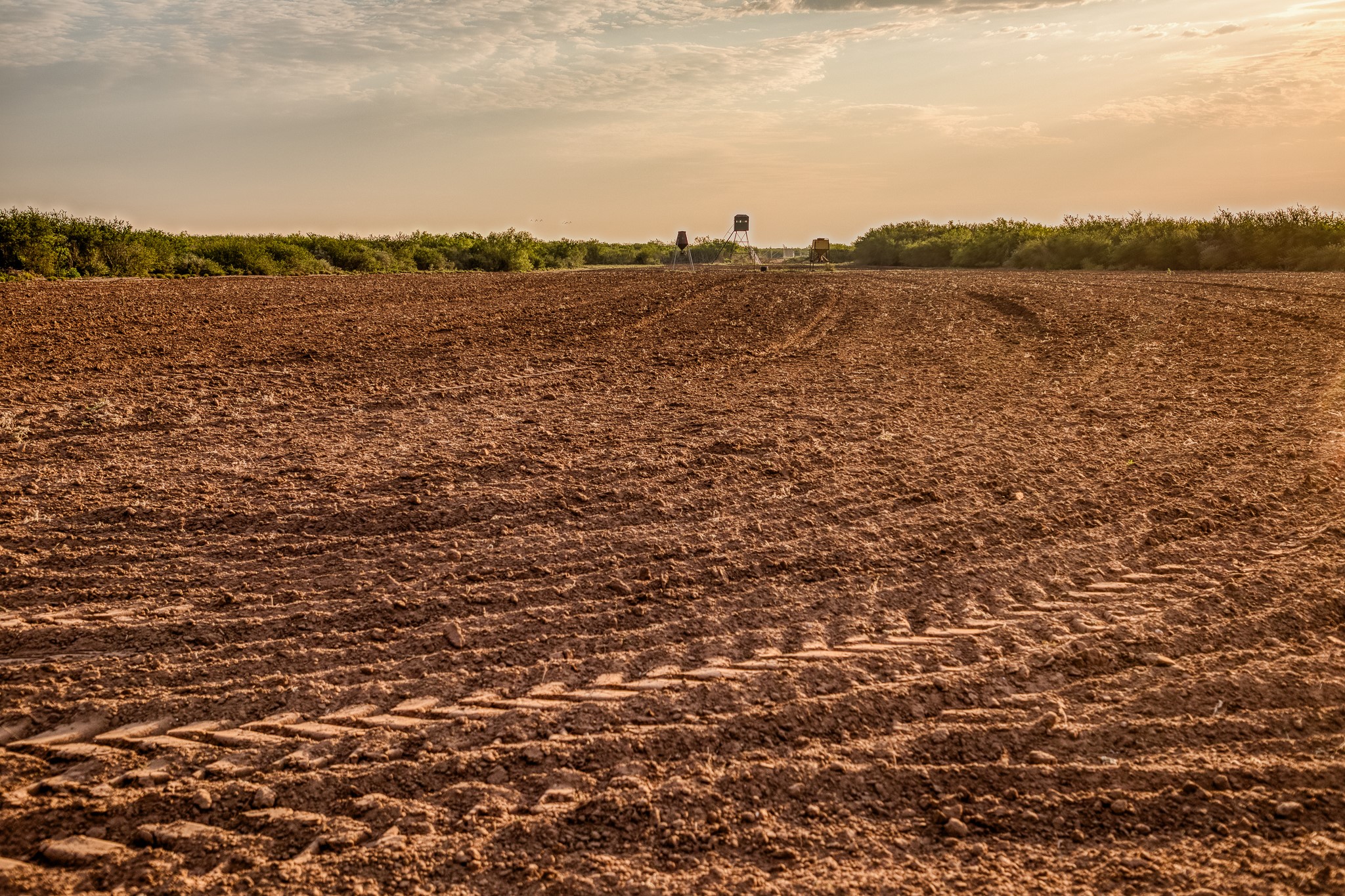 5172 Cr 321 Property Photo 6