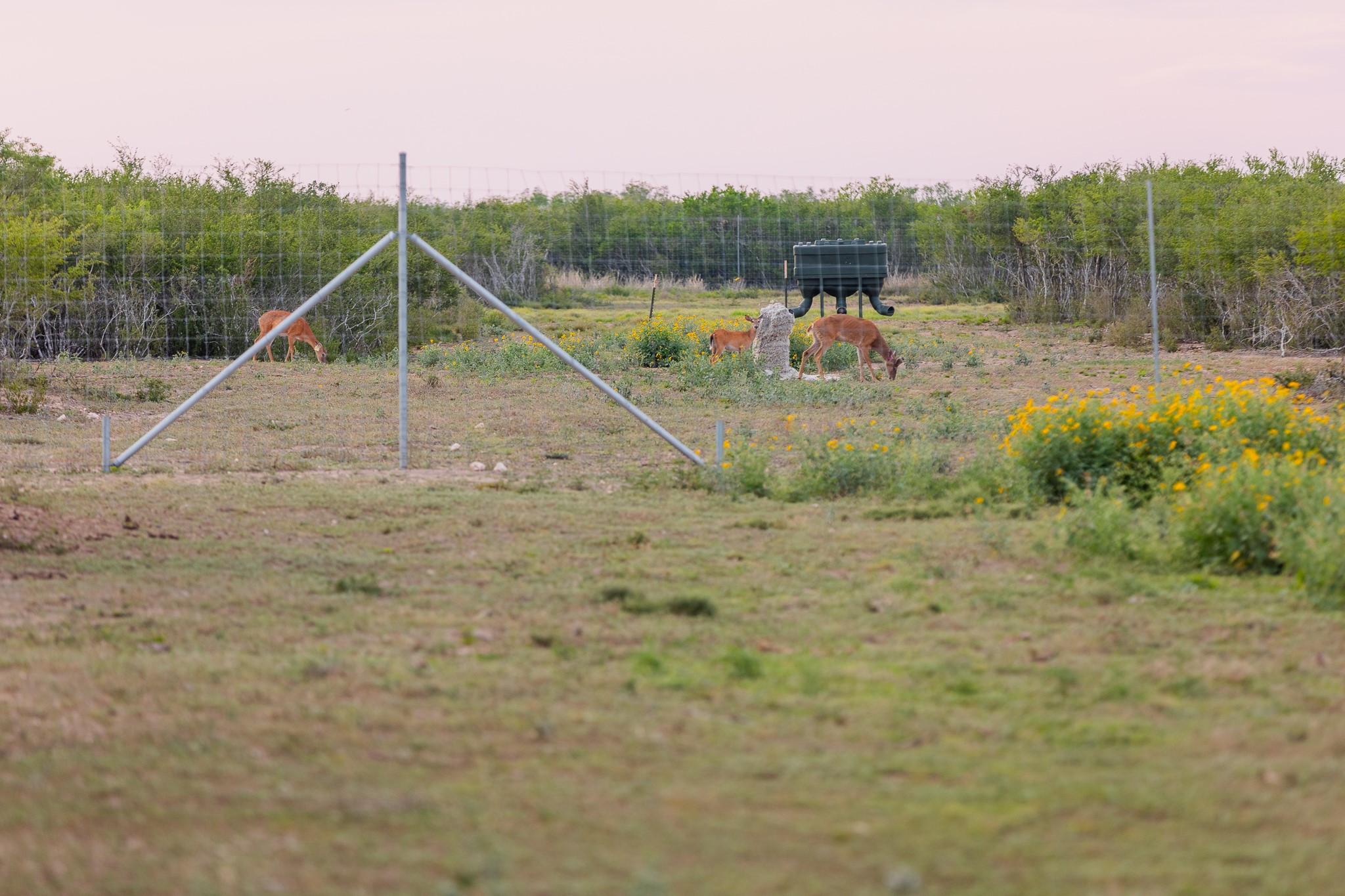 5172 Cr 321 Property Photo 7