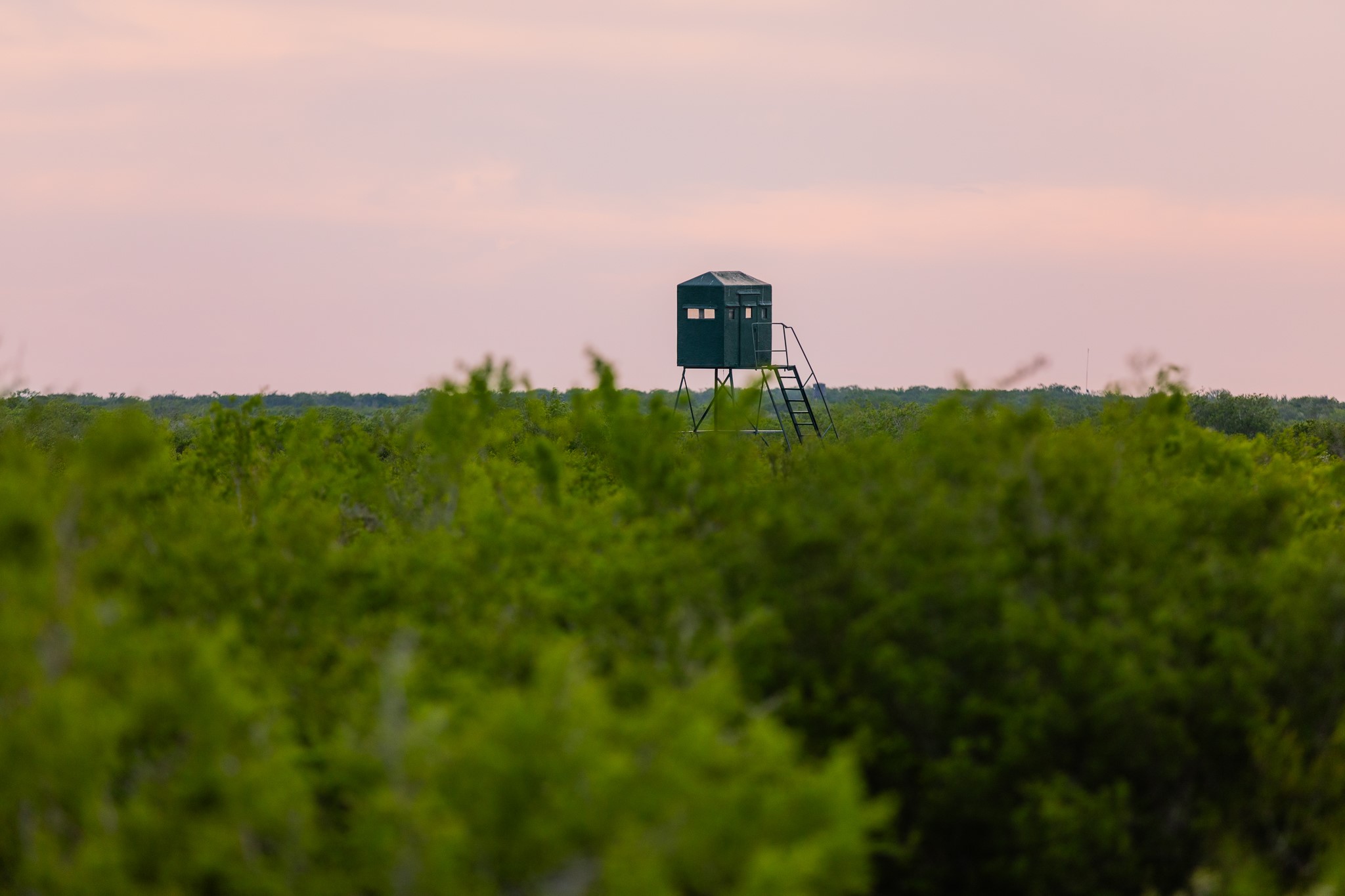 5172 Cr 321 Property Photo 8