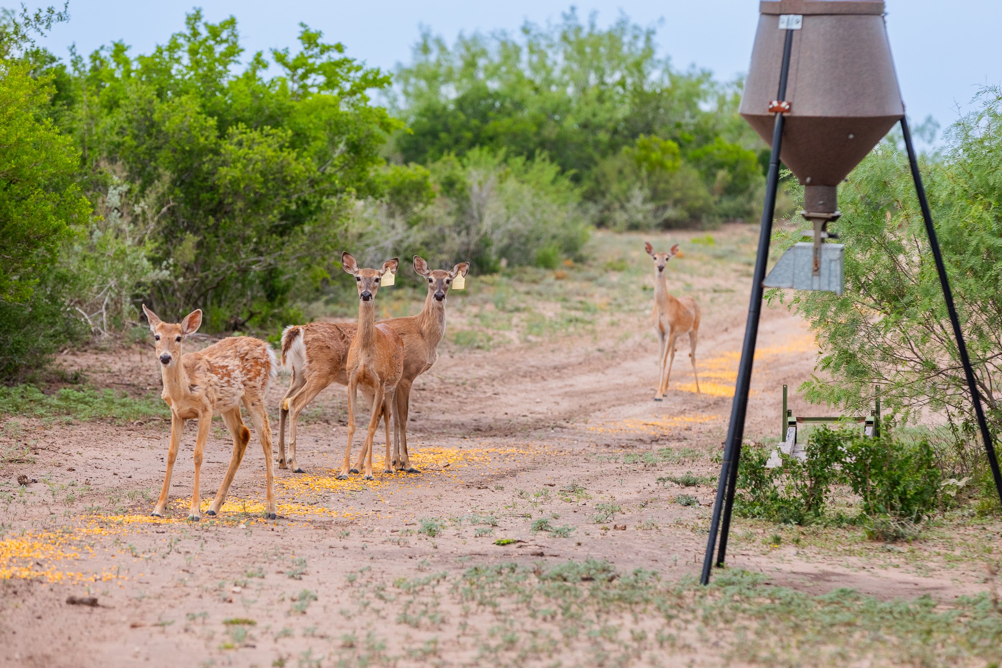 5172 Cr 321 Property Photo 10