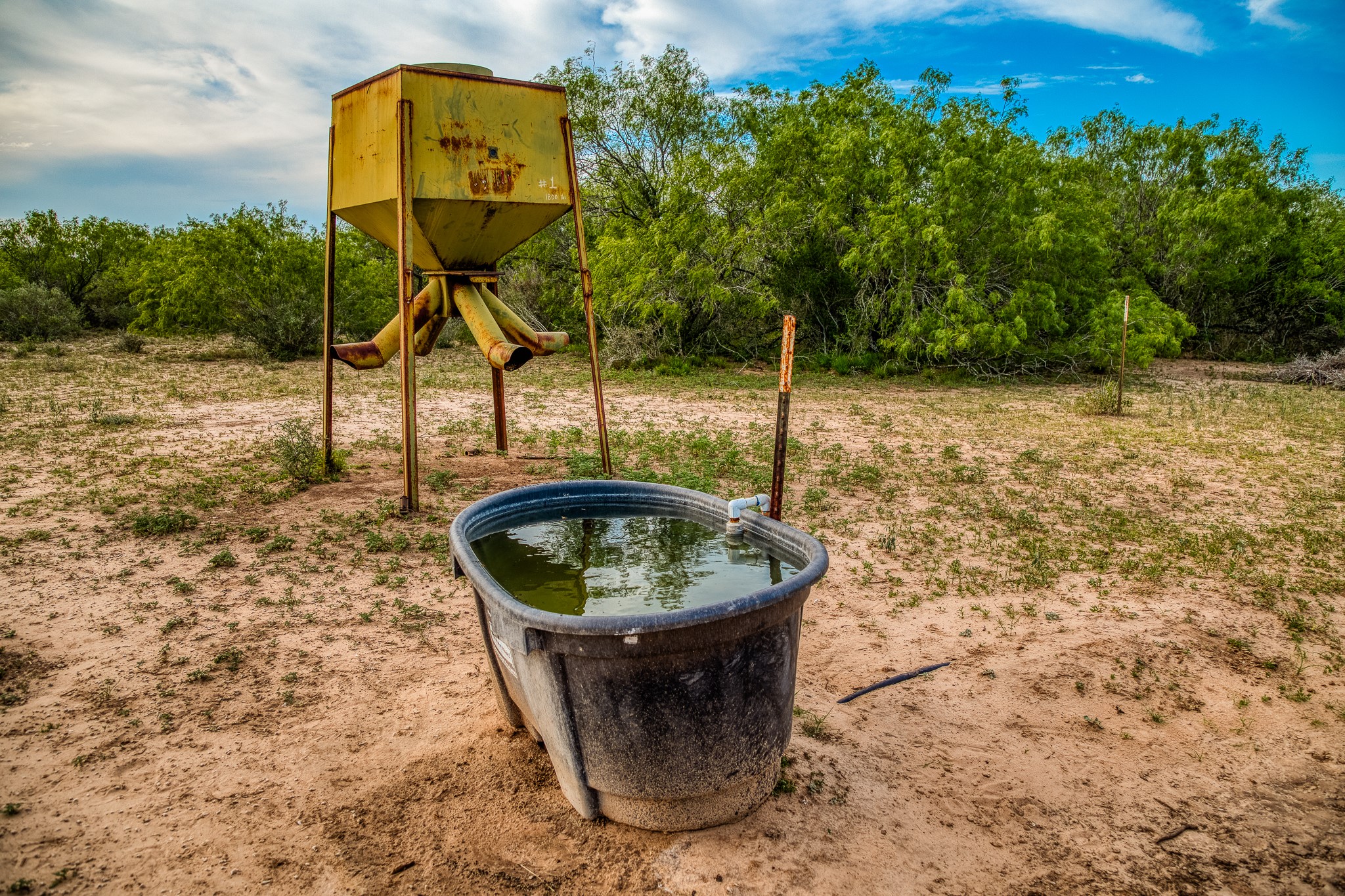 5172 Cr 321 Property Photo 11