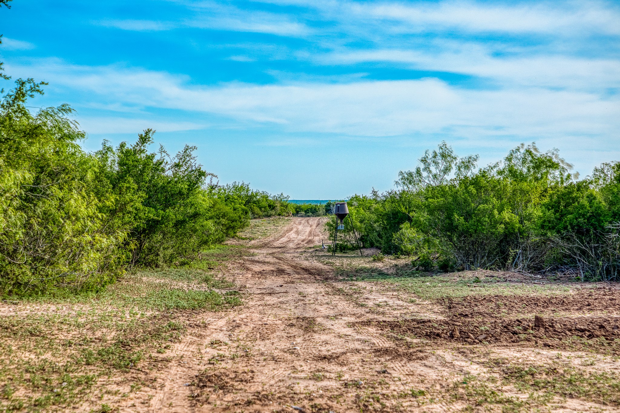 5172 Cr 321 Property Photo 14