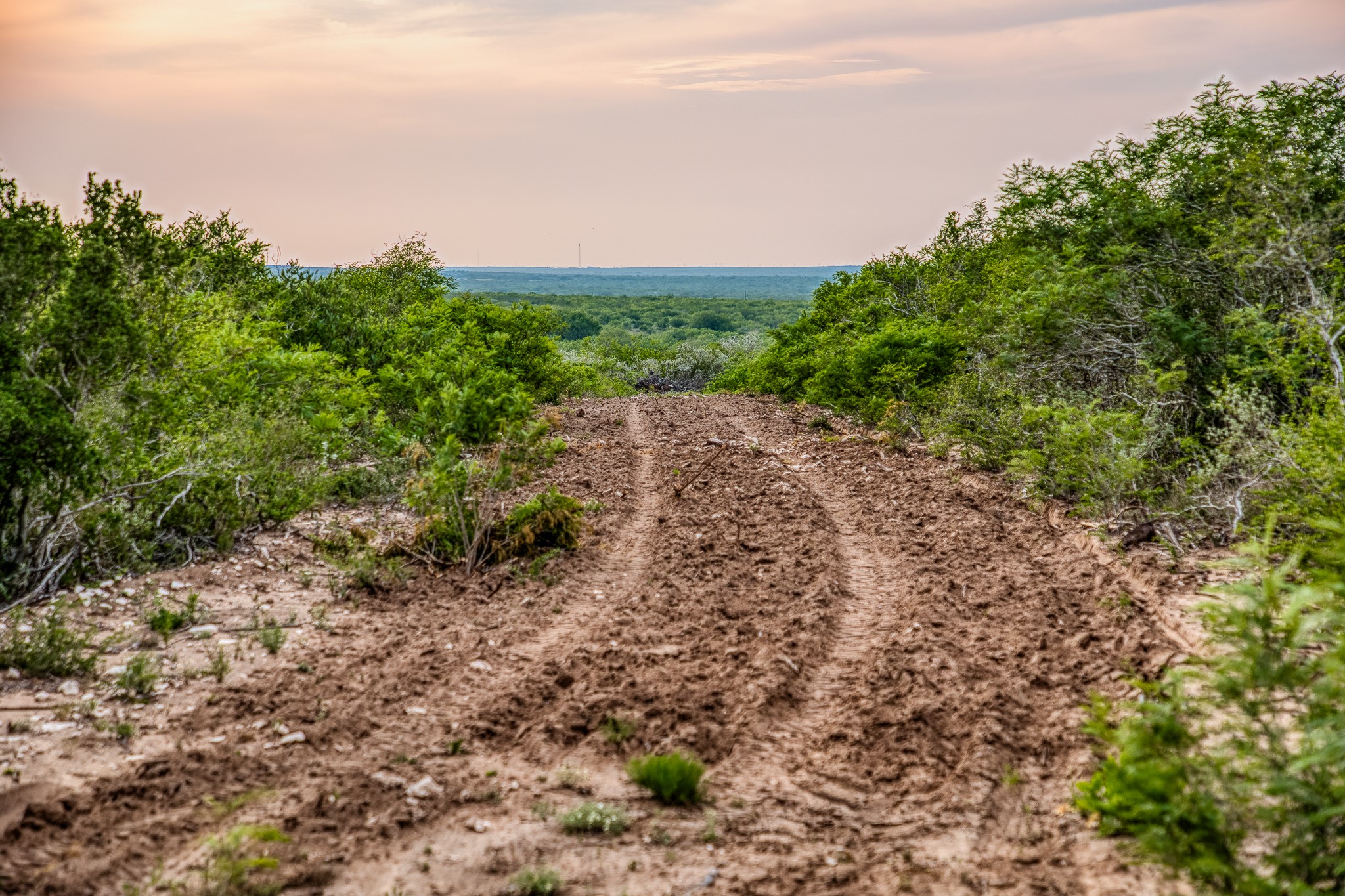 5172 Cr 321 Property Photo 15