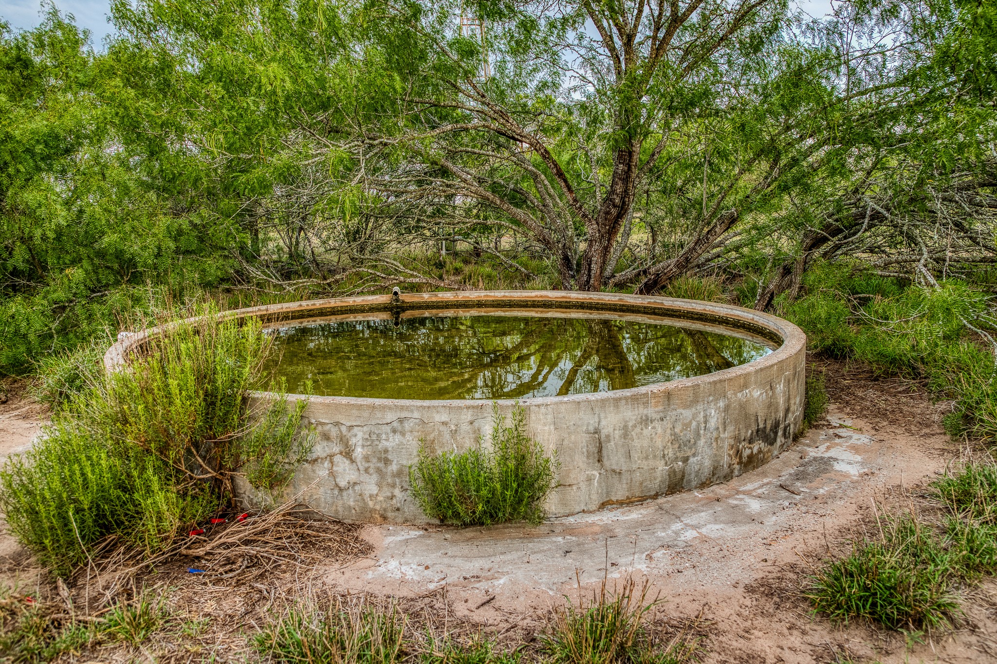 5172 Cr 321 Property Photo 16