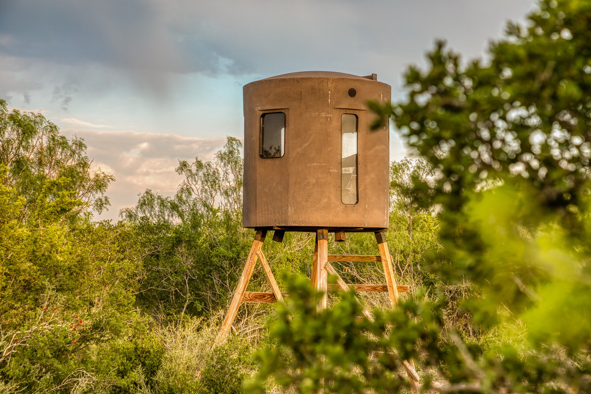 5172 Cr 321 Property Photo 17