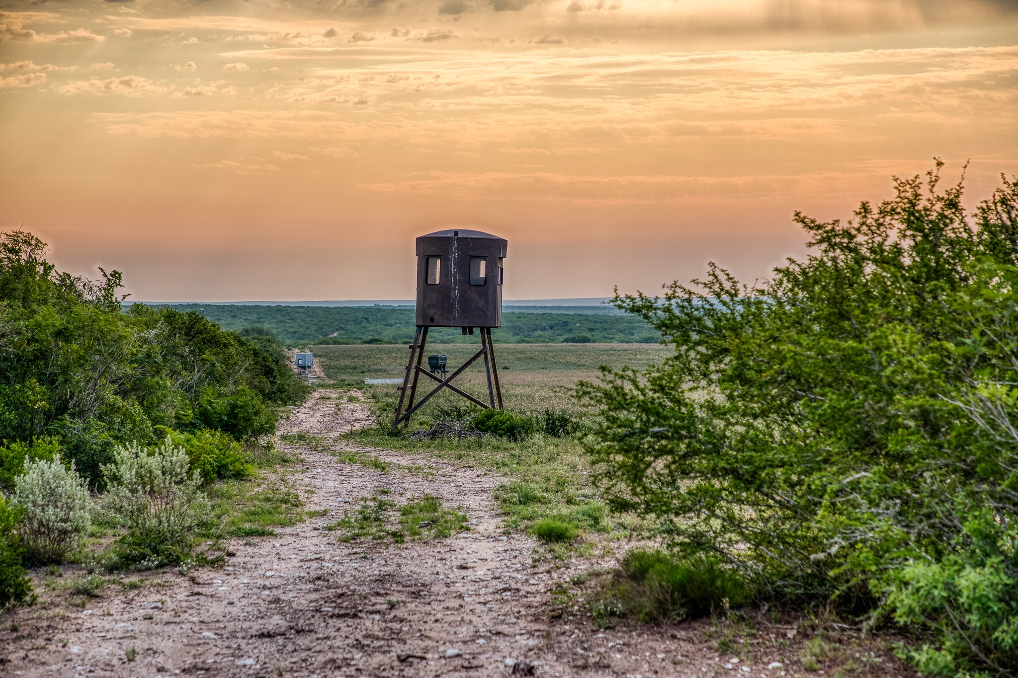 5172 Cr 321 Property Photo 18