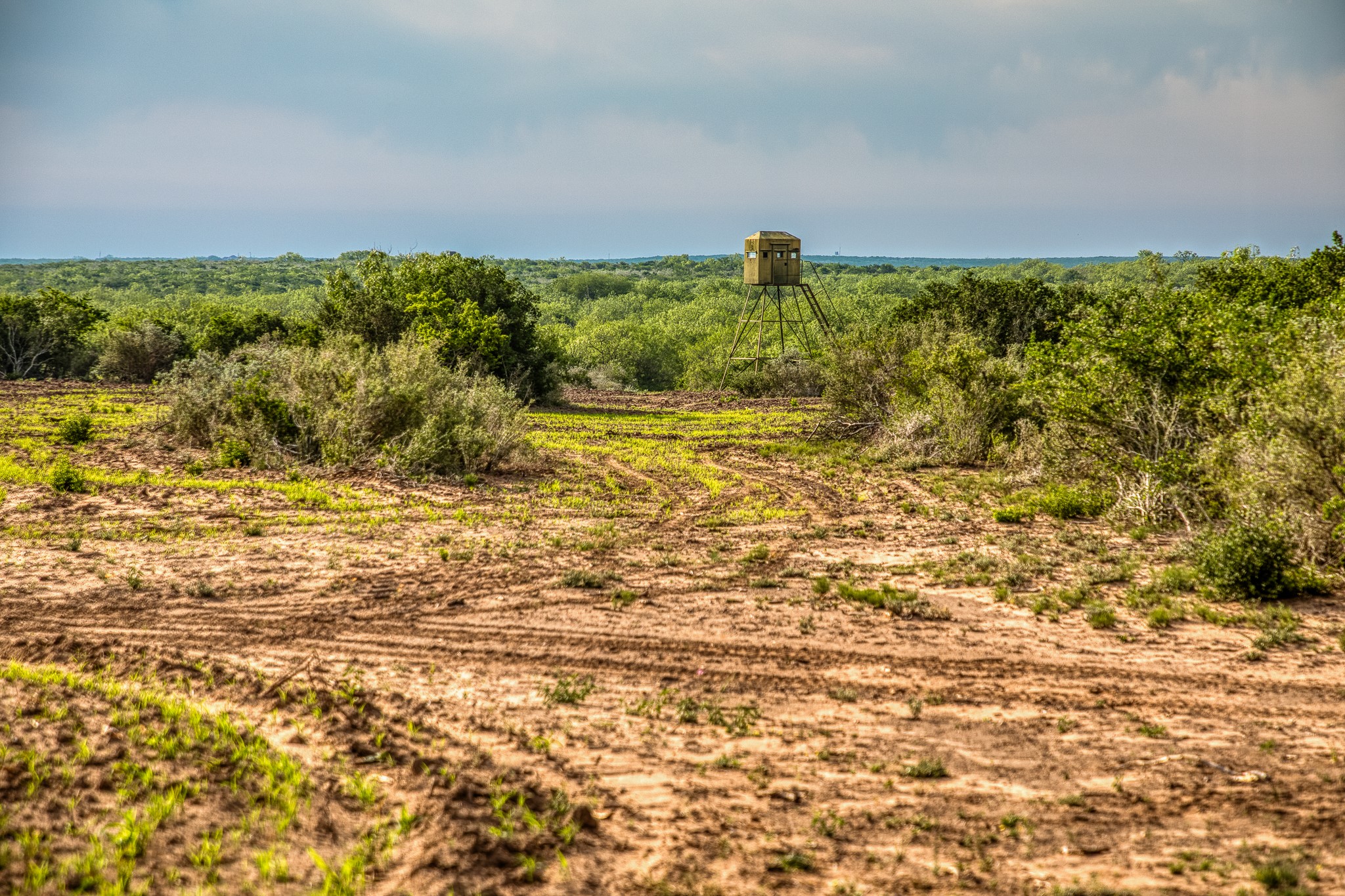 5172 Cr 321 Property Photo 19