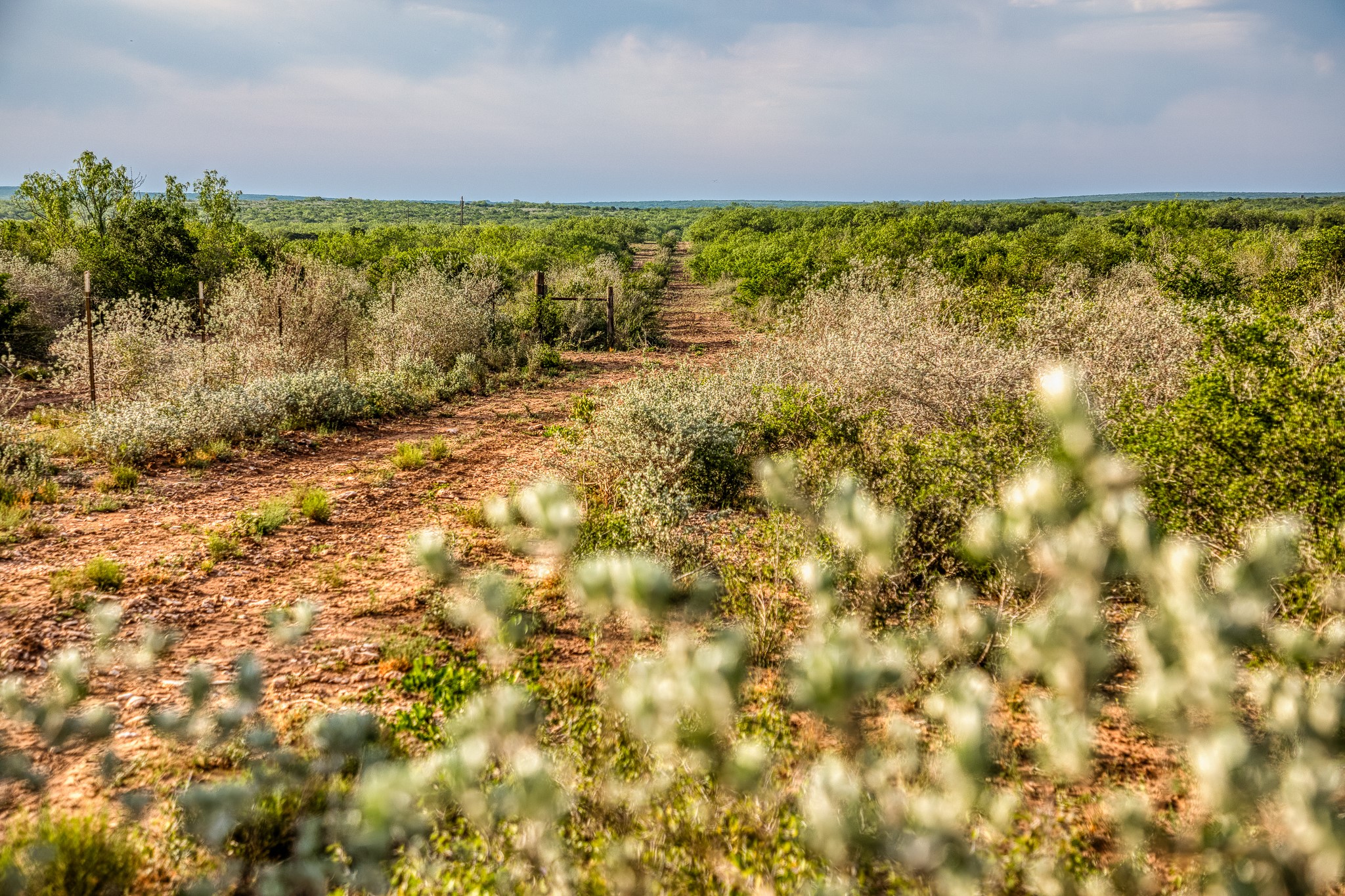 5172 Cr 321 Property Photo 20
