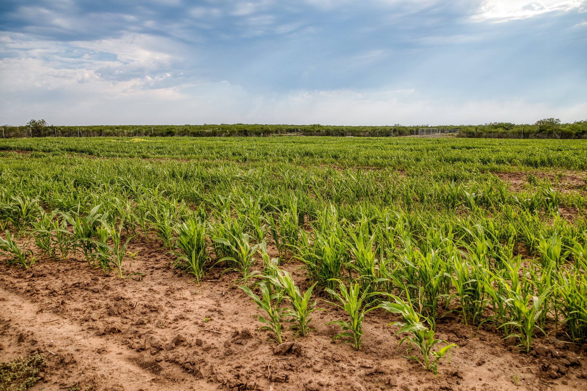 5172 Cr 321 Property Photo 21