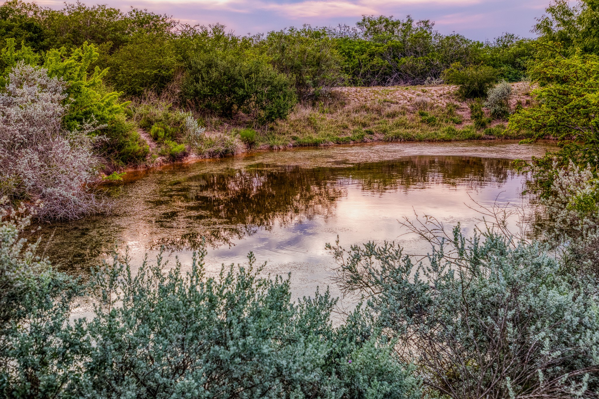 5172 Cr 321 Property Photo 33