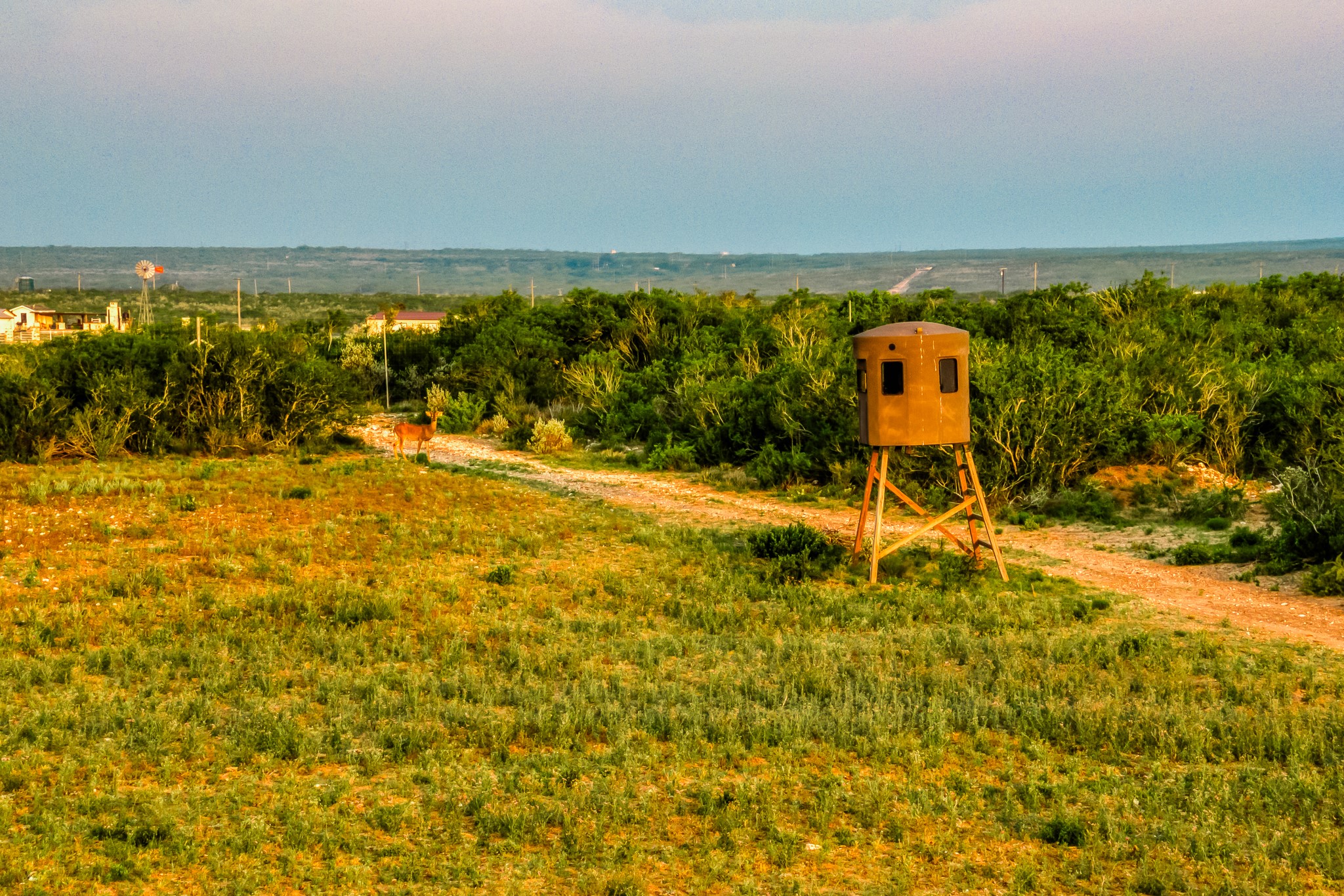 5172 Cr 321 Property Photo 40