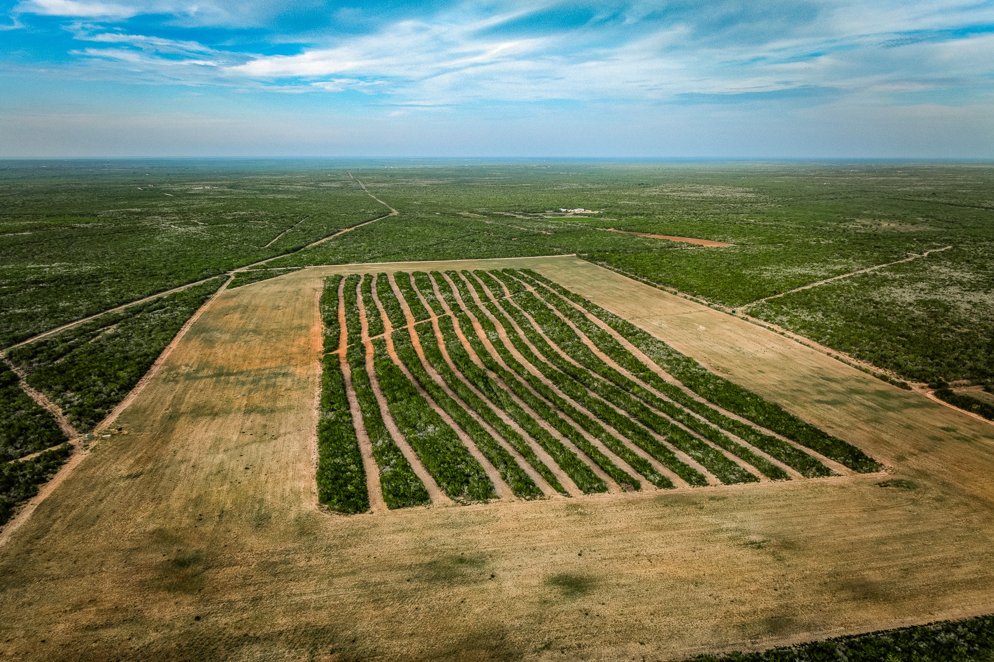 5172 Cr 321 Property Photo 41