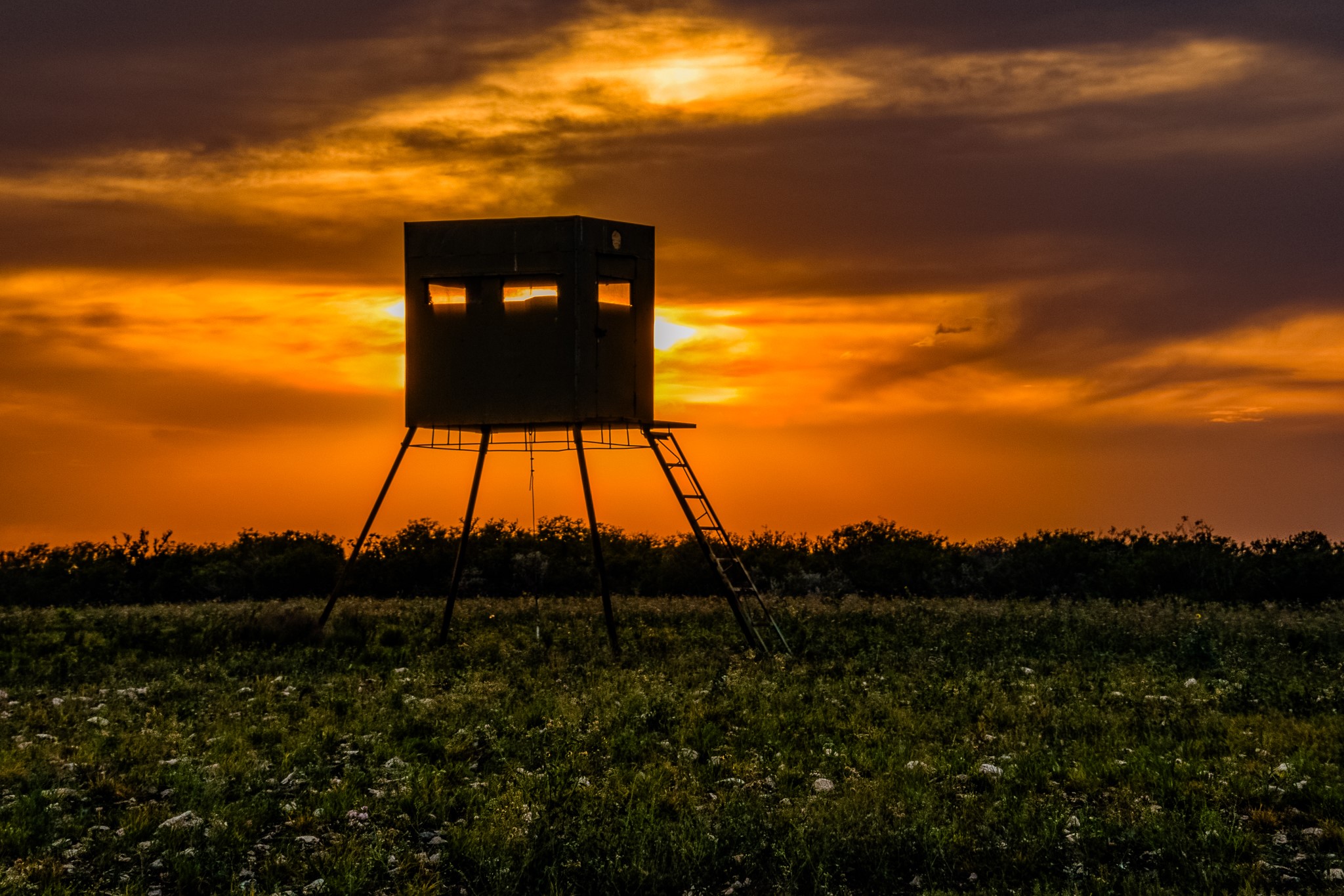 5172 Cr 321 Property Photo 44