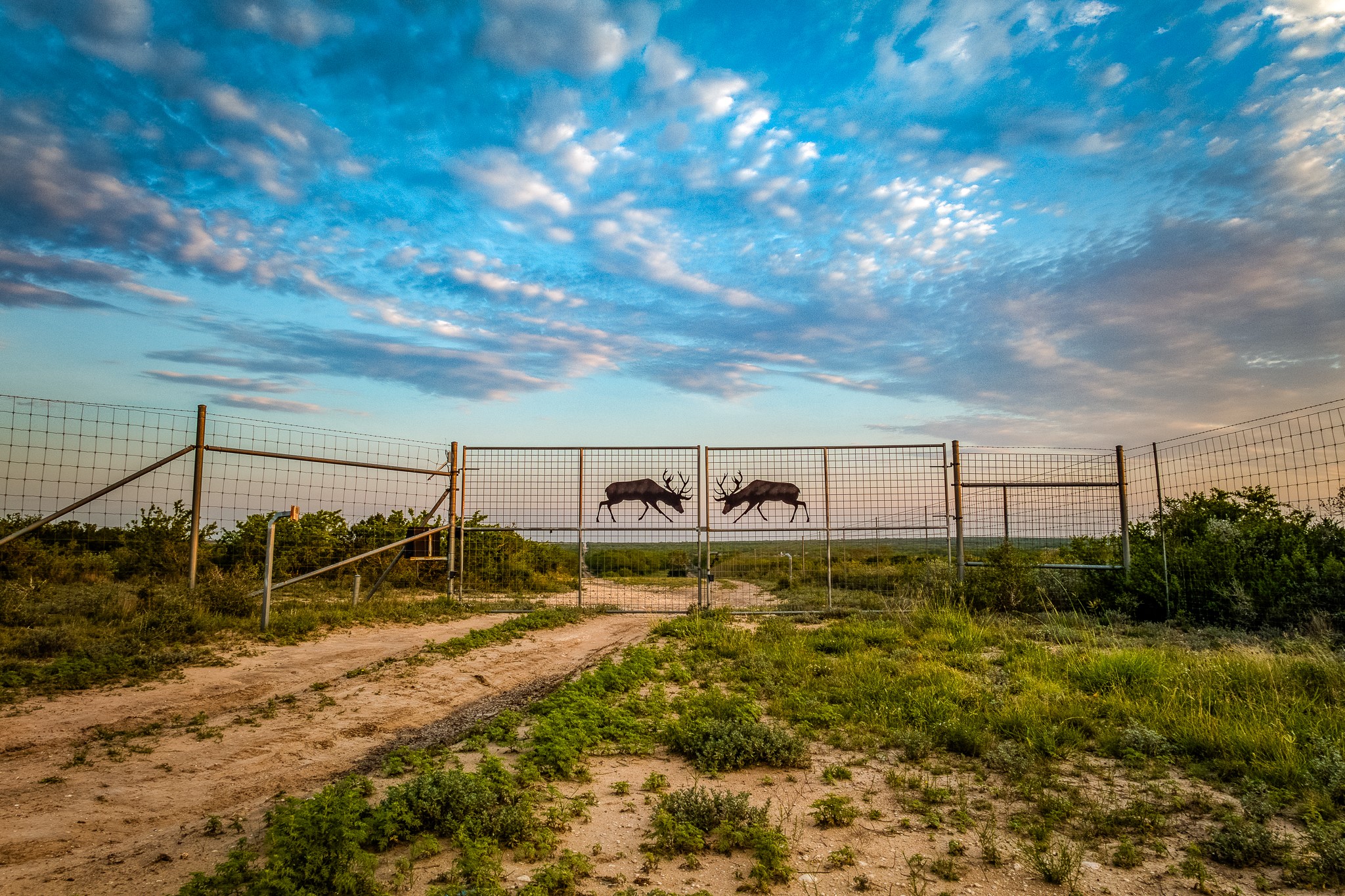 5172 Cr 321 Property Photo 45