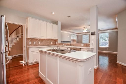 5819 Ashley Spring Court Property Photo 9