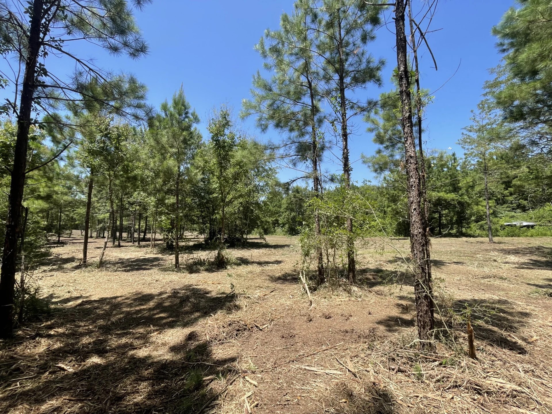 Lot 5 E Fm 942 Property Photo 17