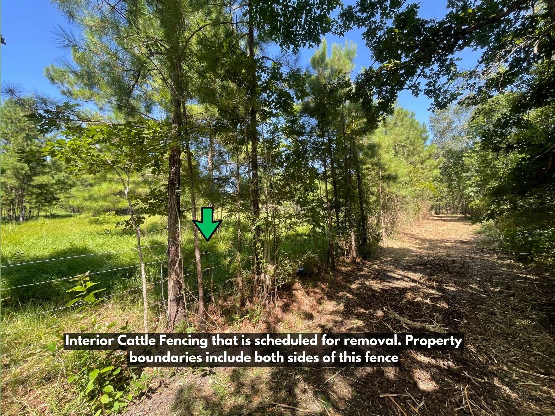 Lot 5 E Fm 942 Property Photo 32