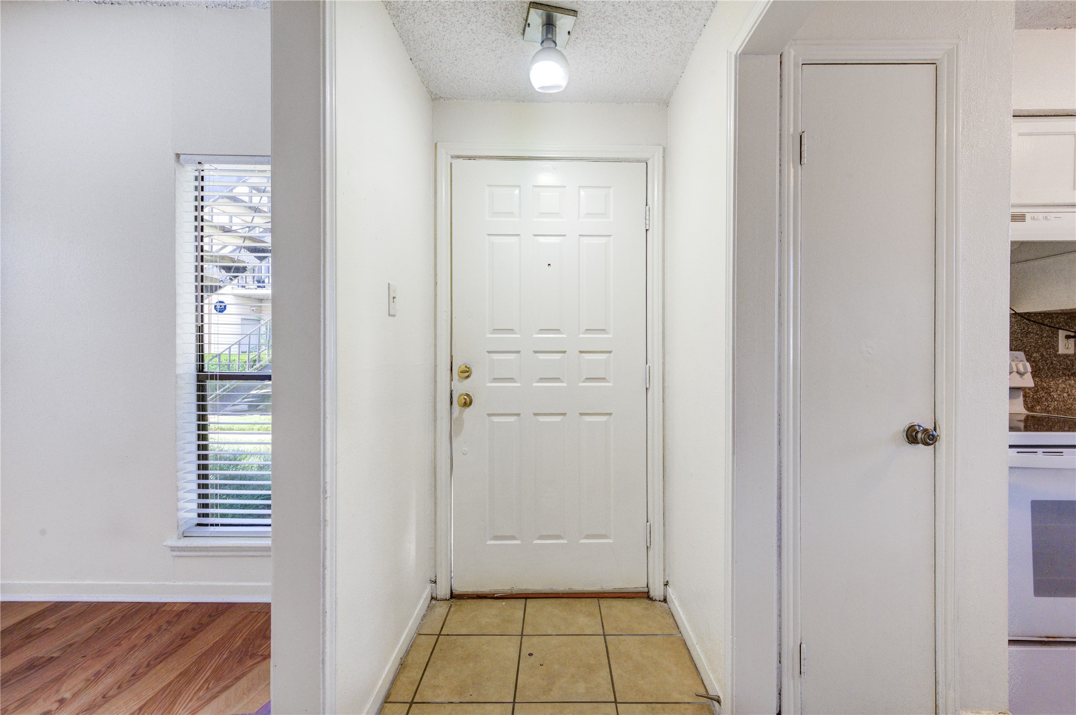 3741 Thistlemont Drive Property Photo 3