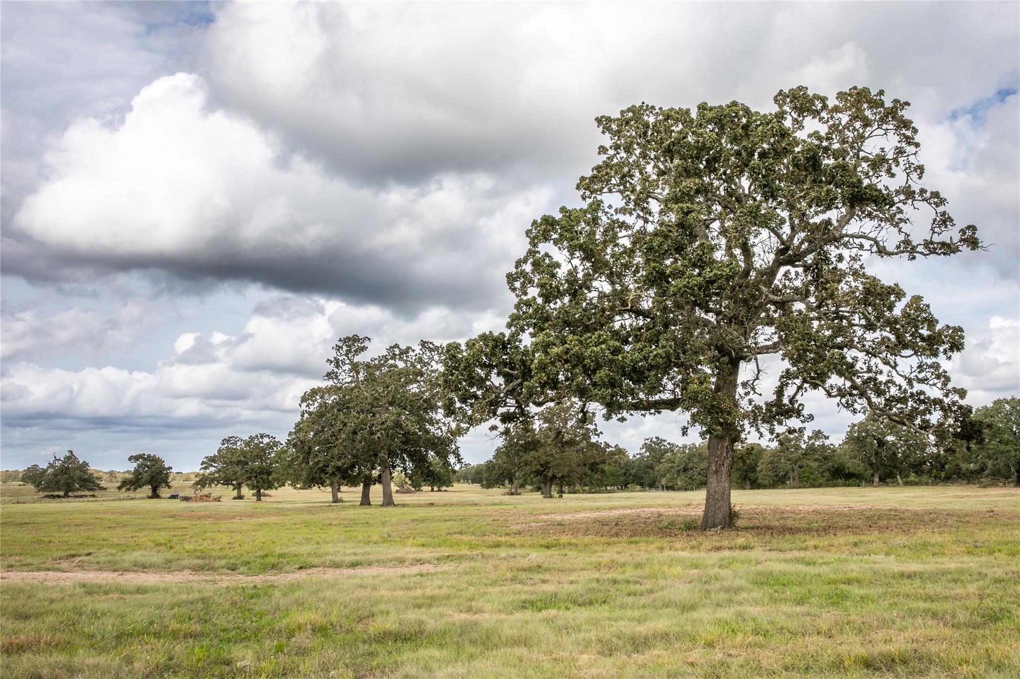 Lot 12 Eberhardt Road Property Photo 1
