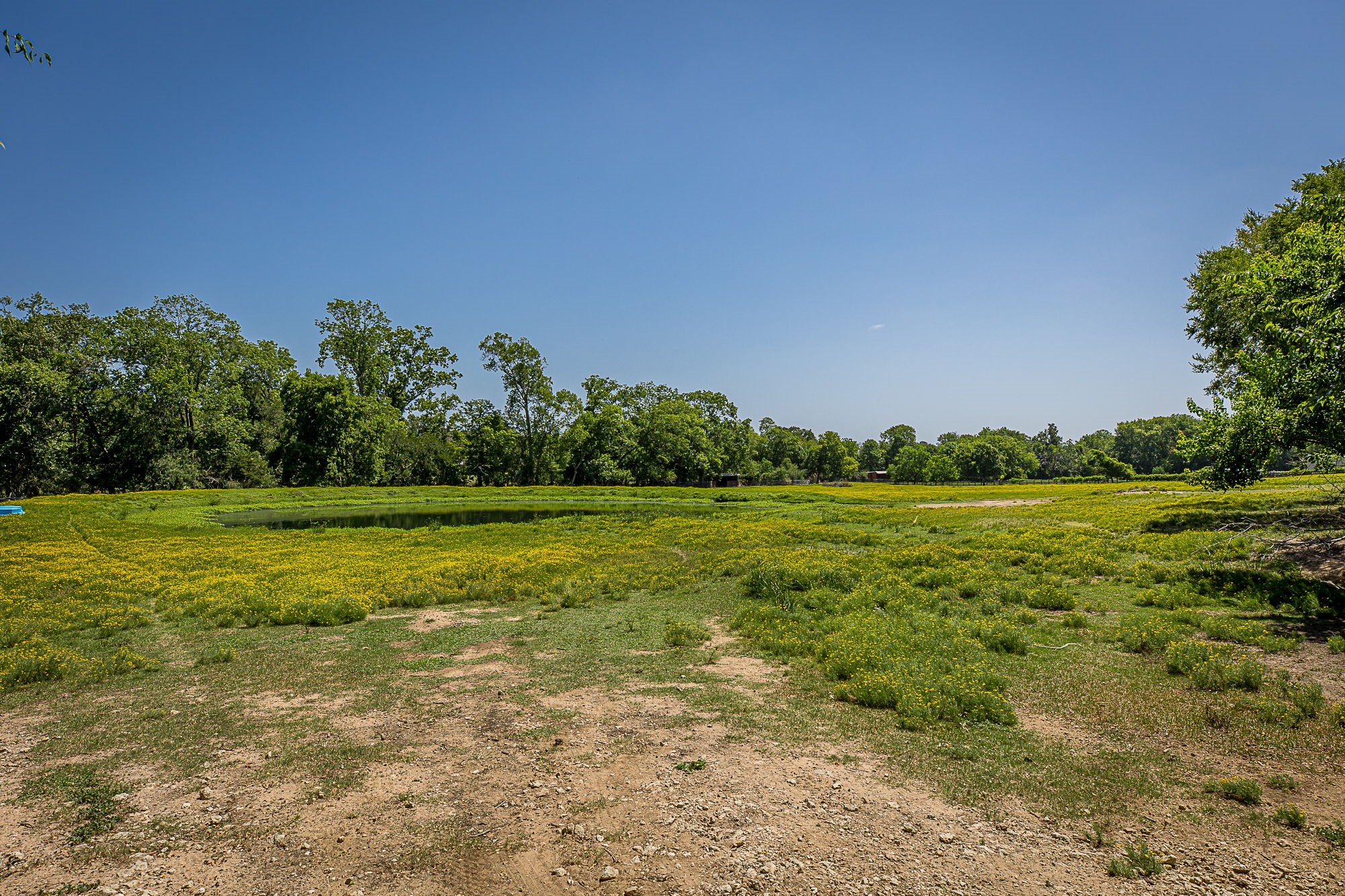 26298 Hwy 105 Property Photo 6