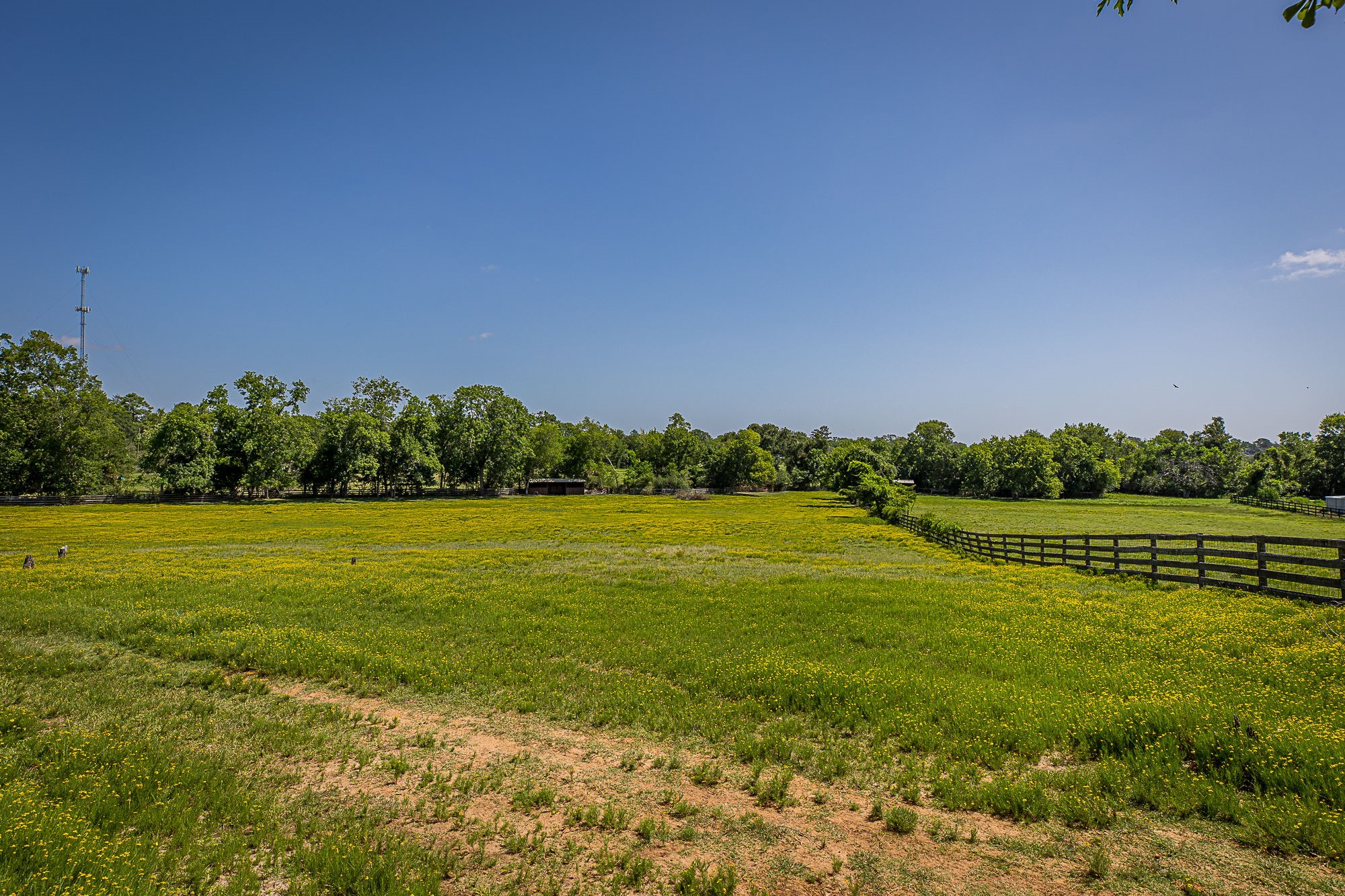 26298 Hwy 105 Property Photo 9