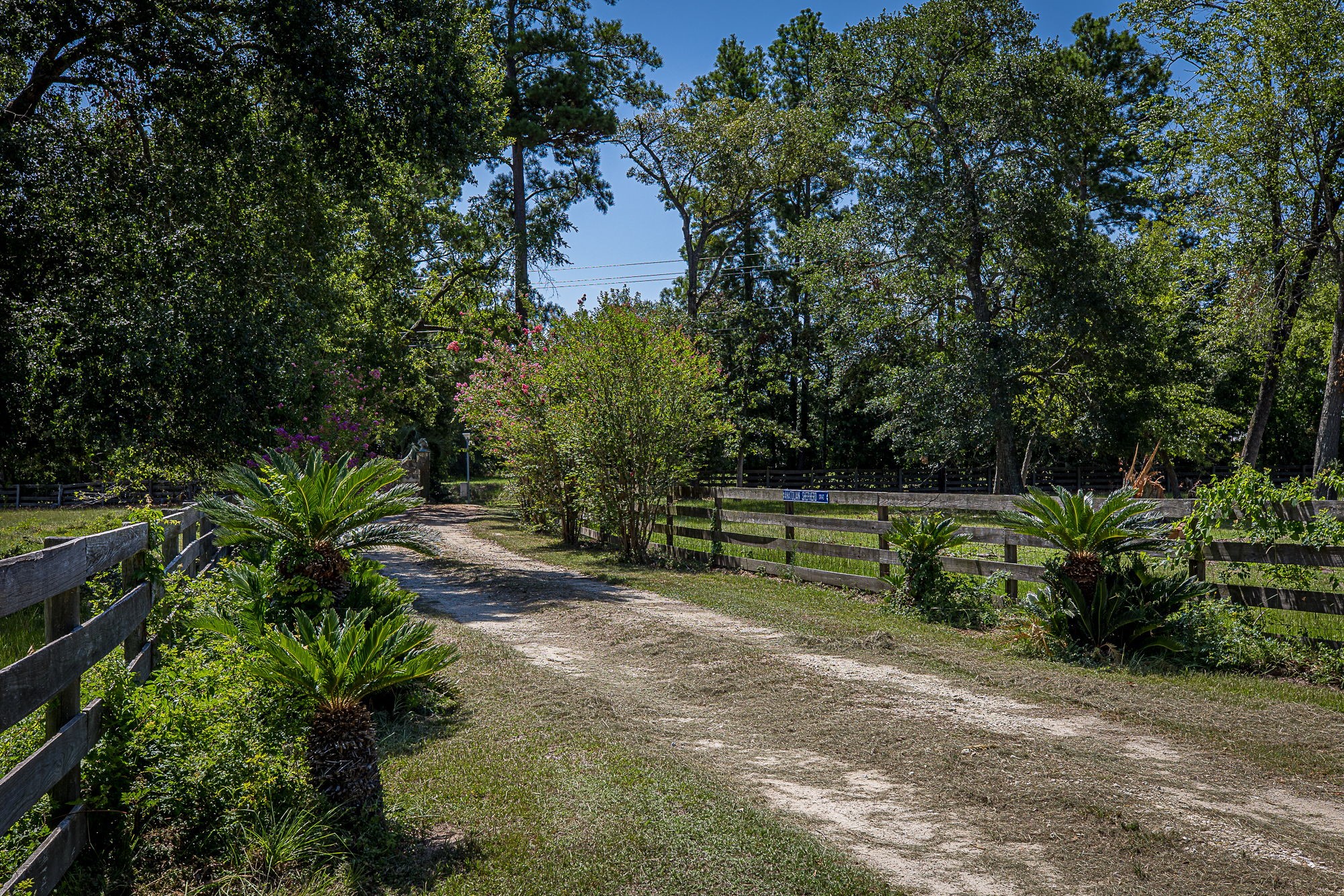 26298 Hwy 105 Property Photo 10