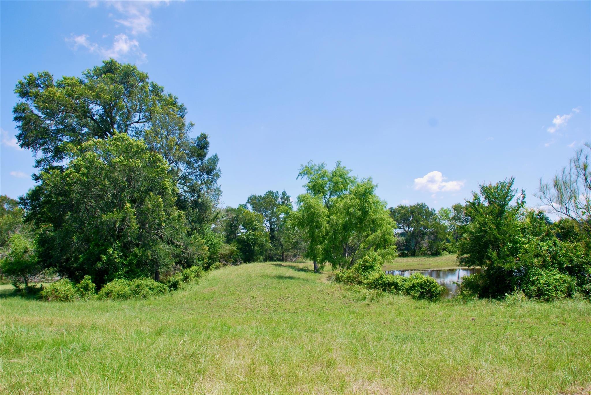 3703 Muehr Road, Weimar Tx 78962 Property Photo 6
