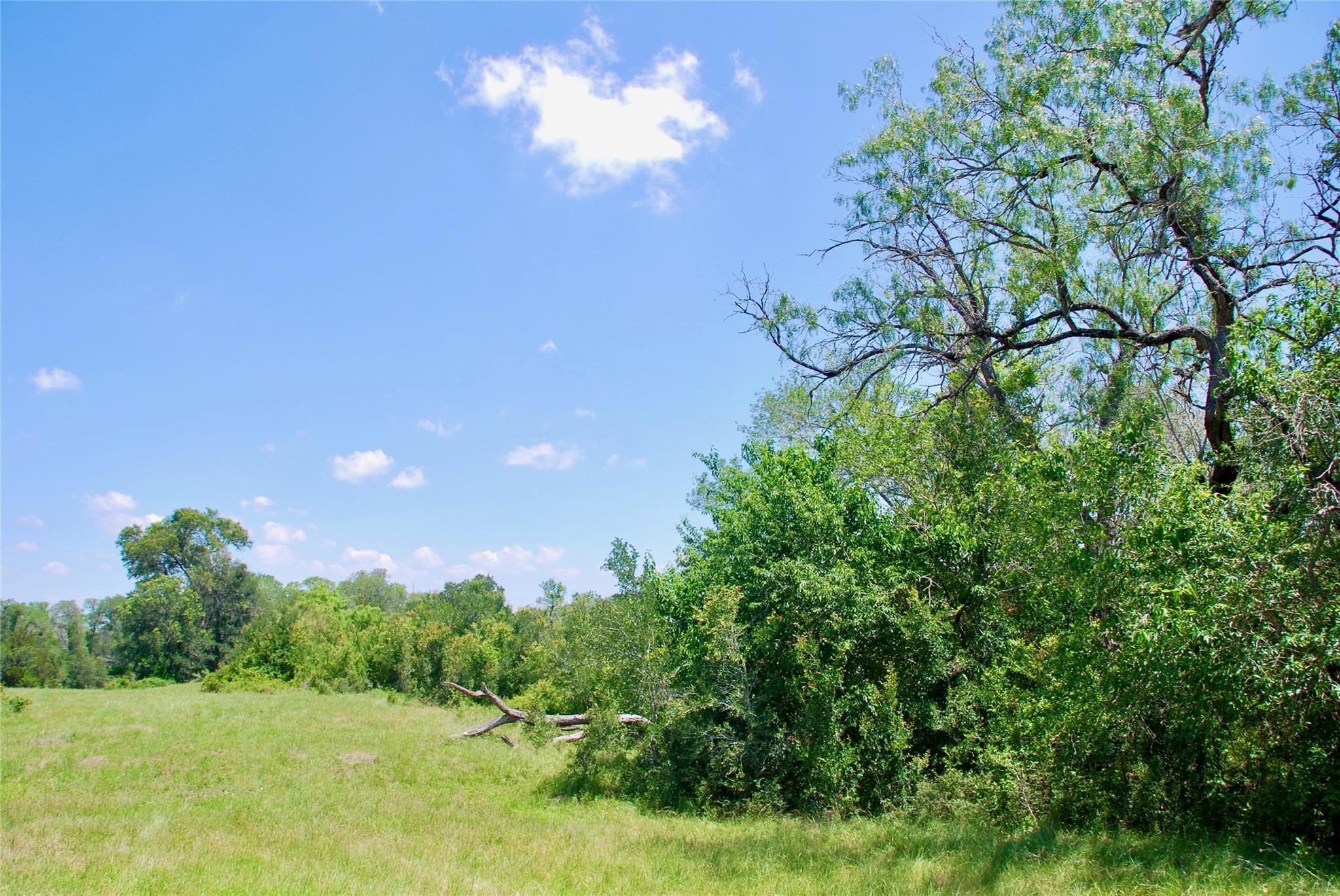 3703 Muehr Road, Weimar Tx 78962 Property Photo 16