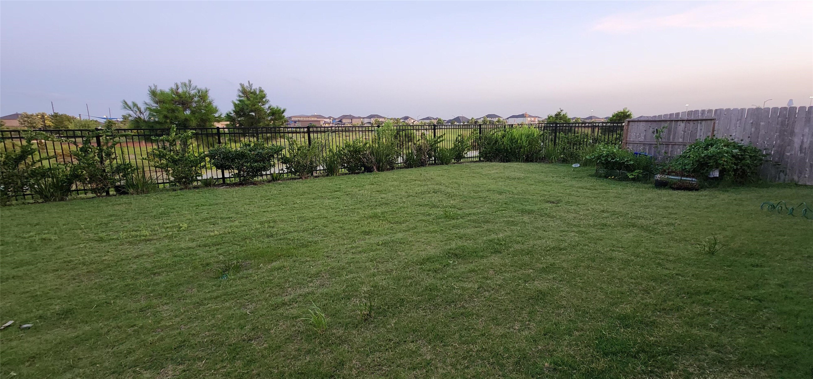 21627 Cabramatta Field Drive Property Photo 8