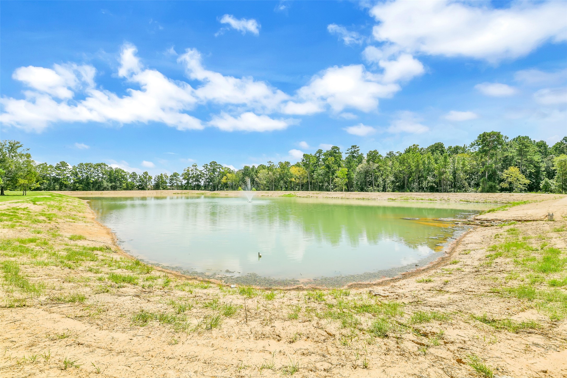 201 Rolling Oaks Drive Property Photo 12