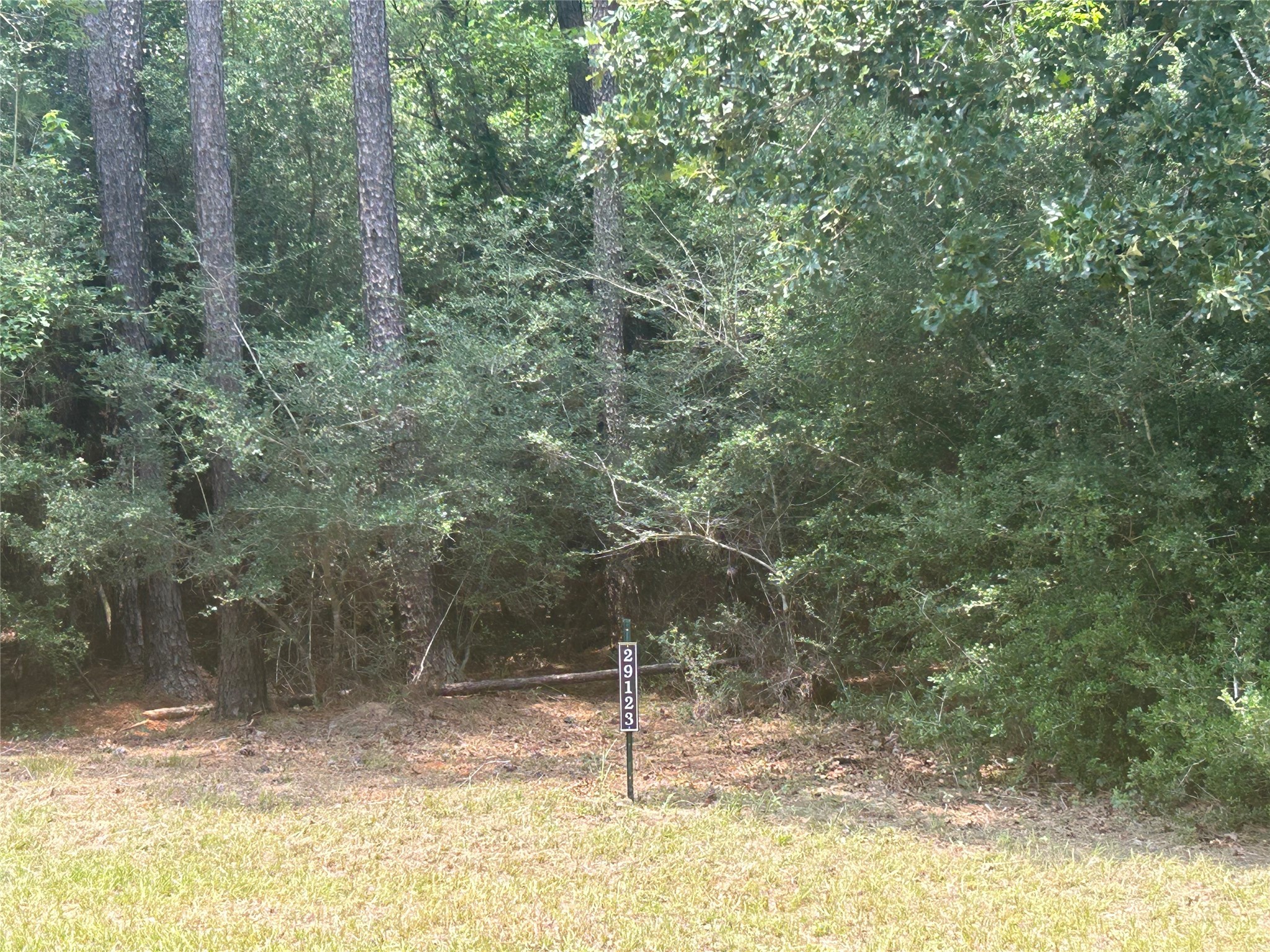 29123 Village Bend Property Photo 2