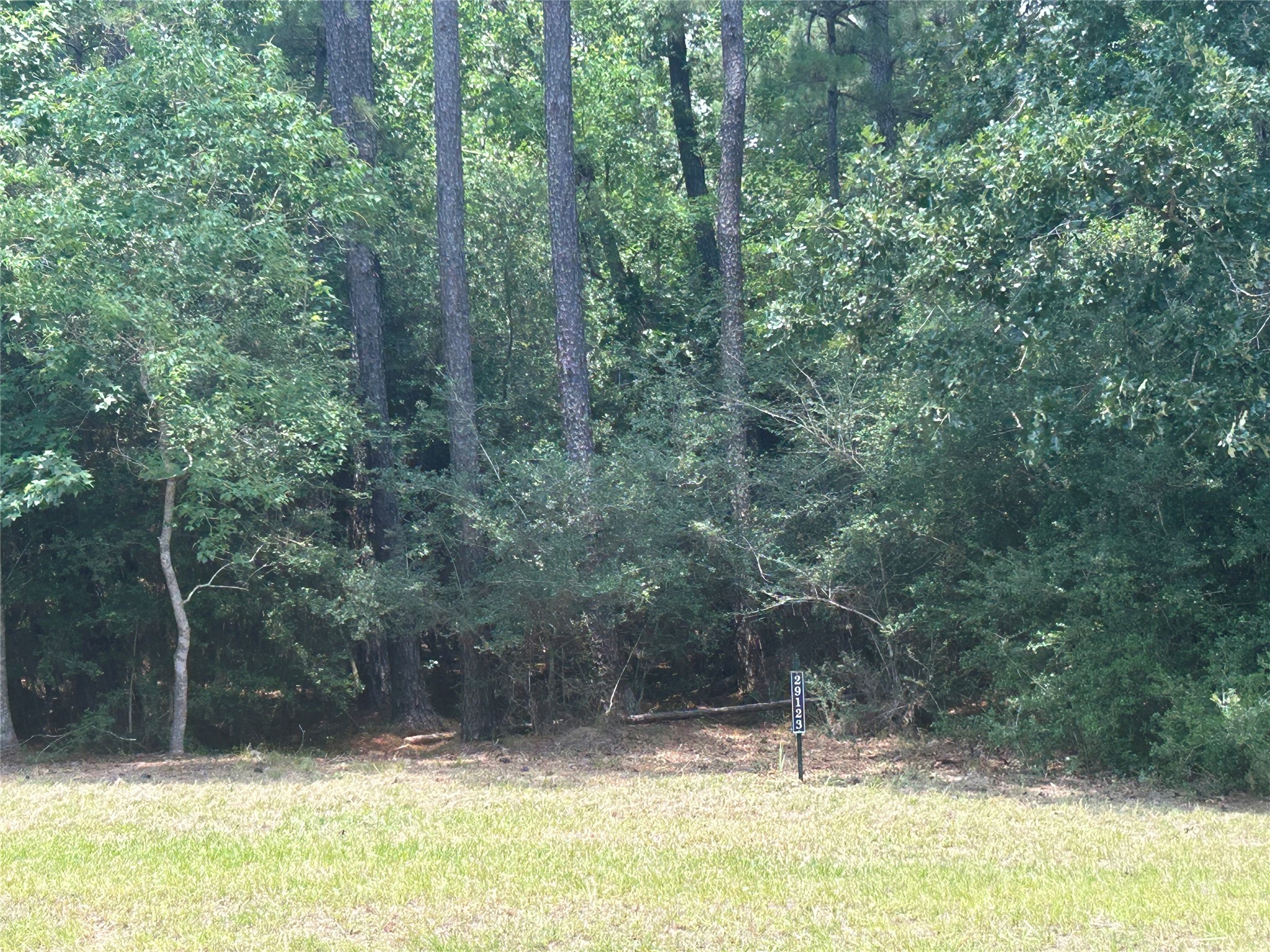29123 Village Bend Property Photo 3