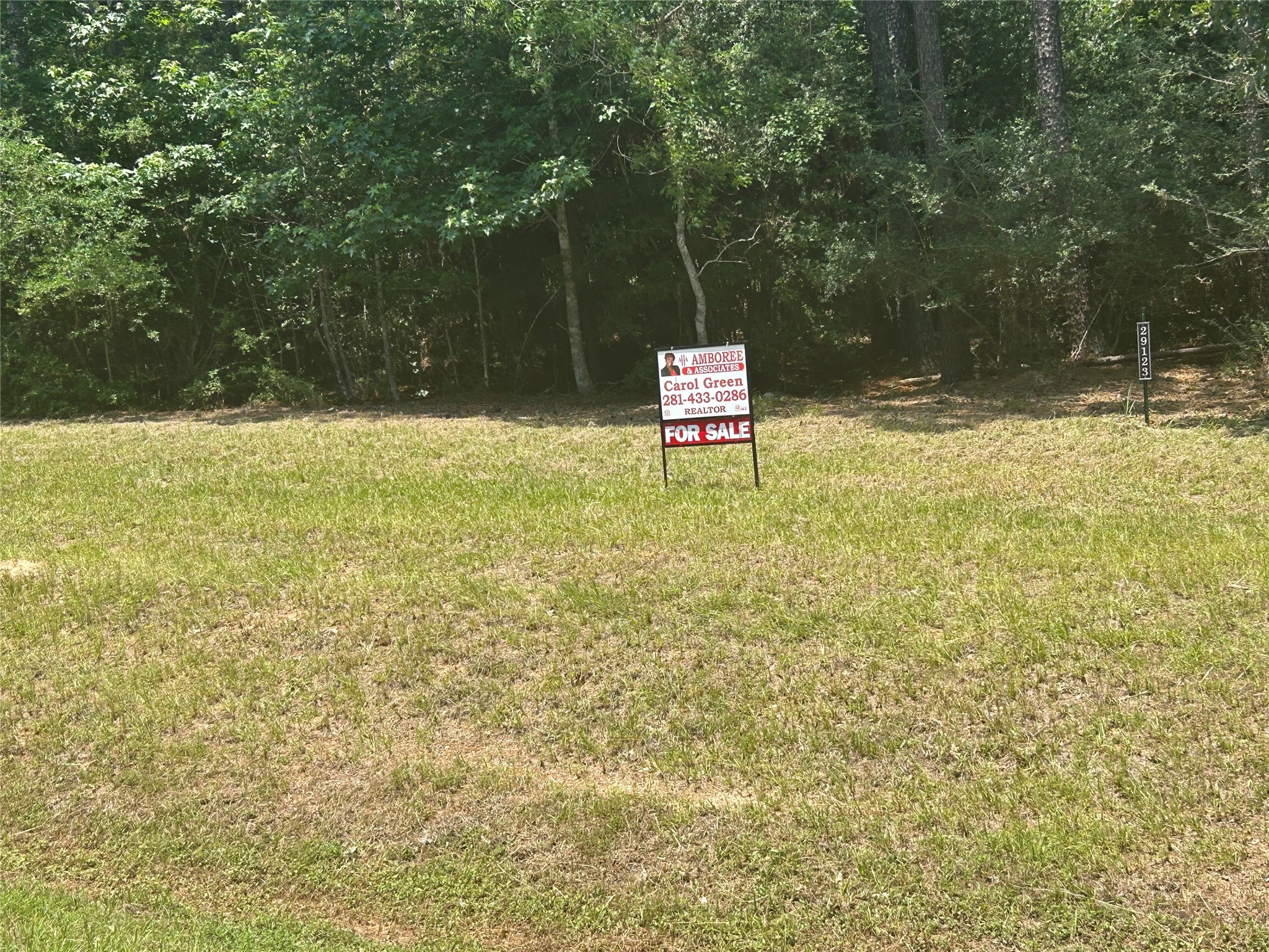 29123 Village Bend Property Photo 4