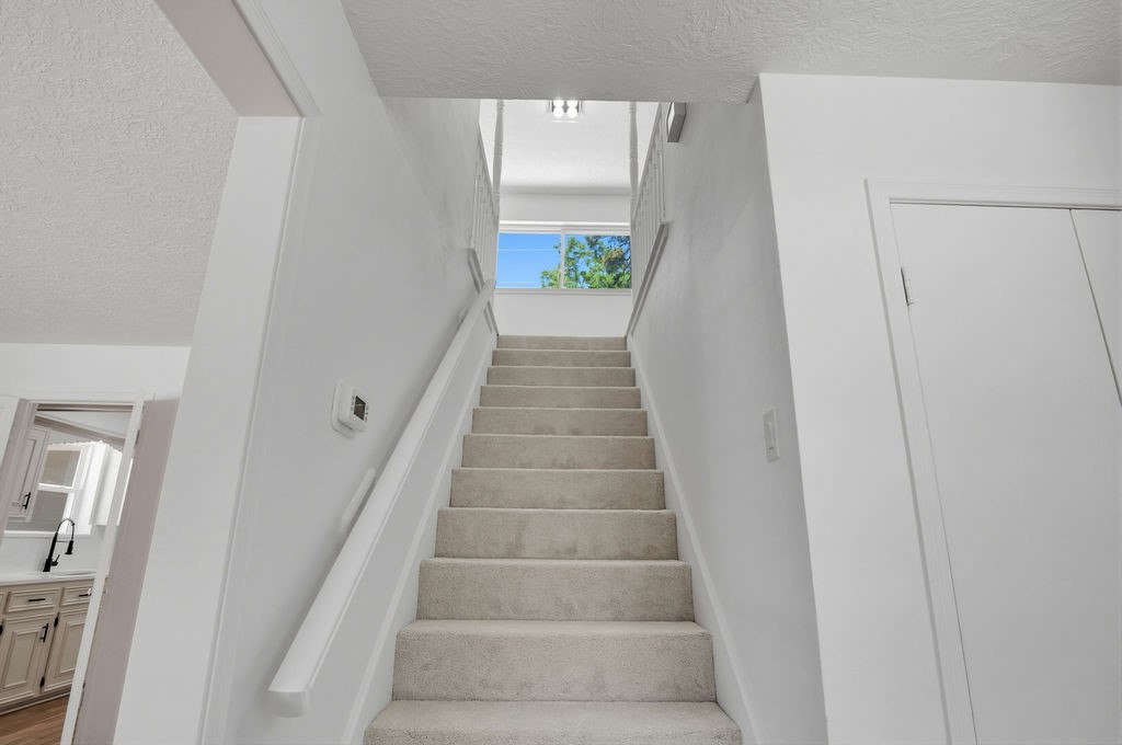 17807 Asphodel Lane Property Photo 22